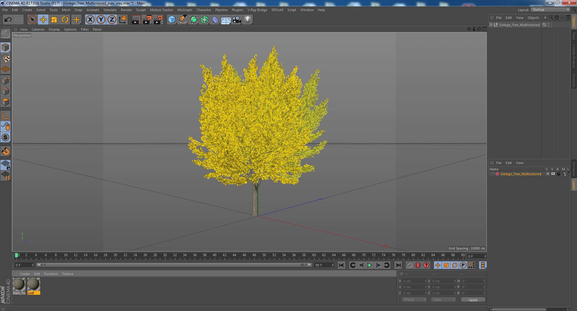 Ginkgo Tree Multicolored 3D model