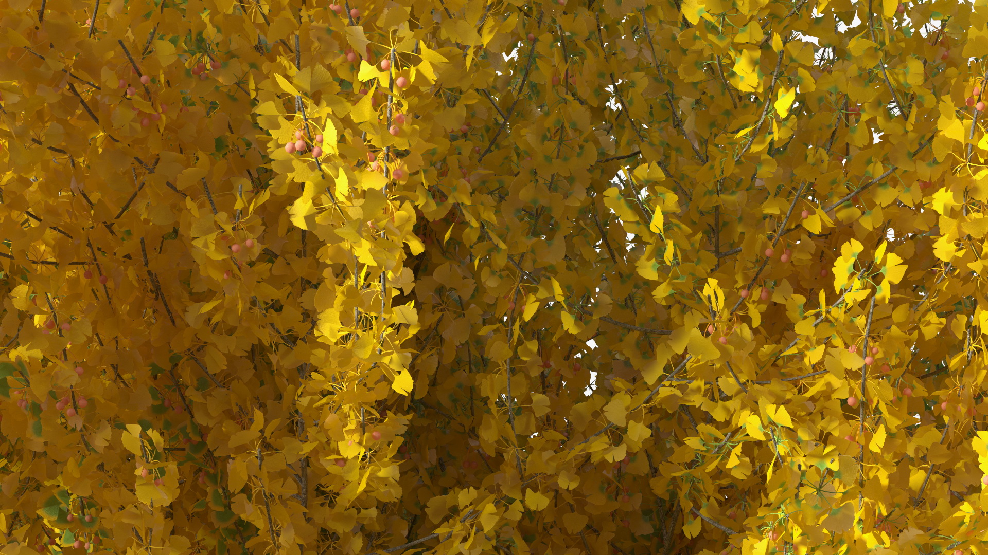 Ginkgo Tree Multicolored 3D model