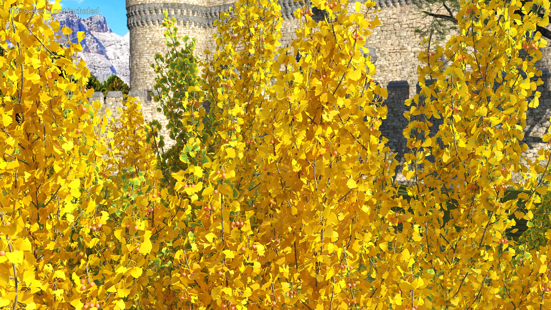 Ginkgo Tree Multicolored 3D model