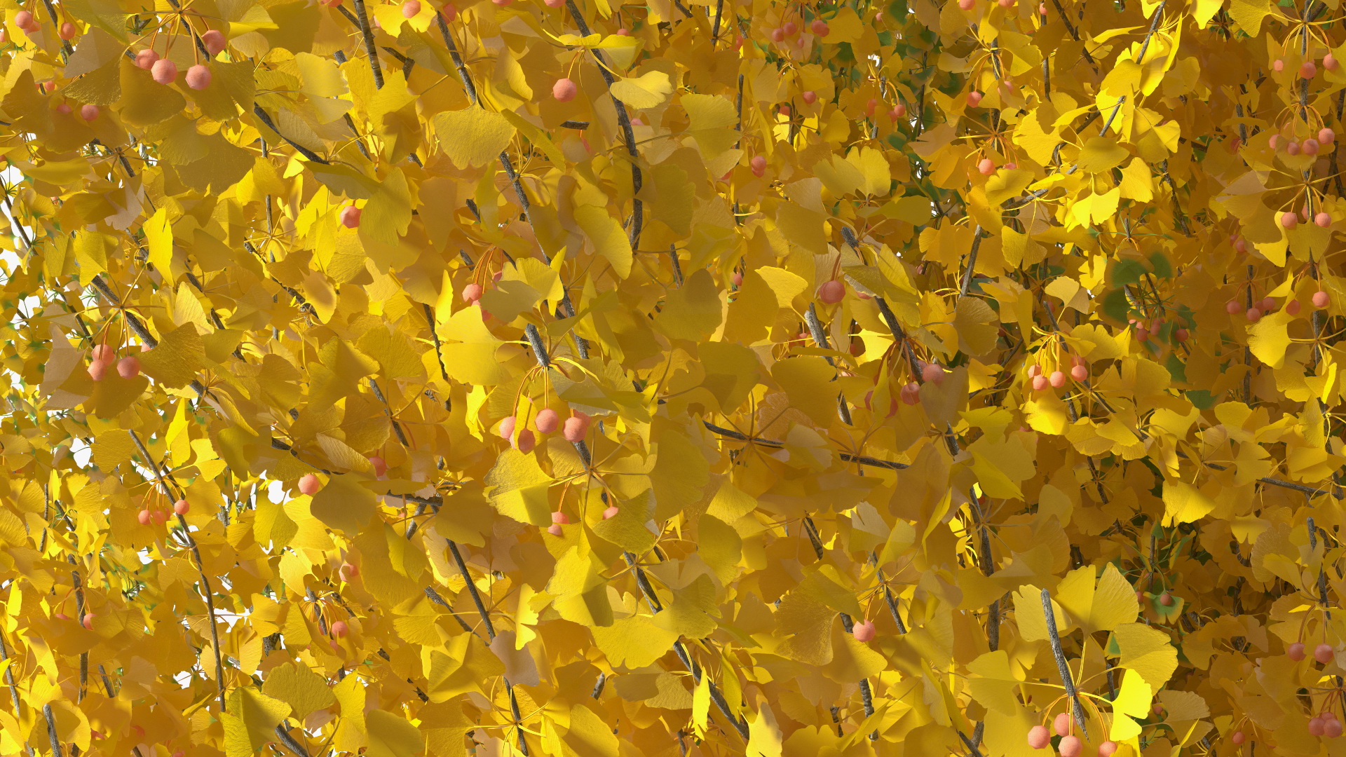 Ginkgo Tree Multicolored 3D model