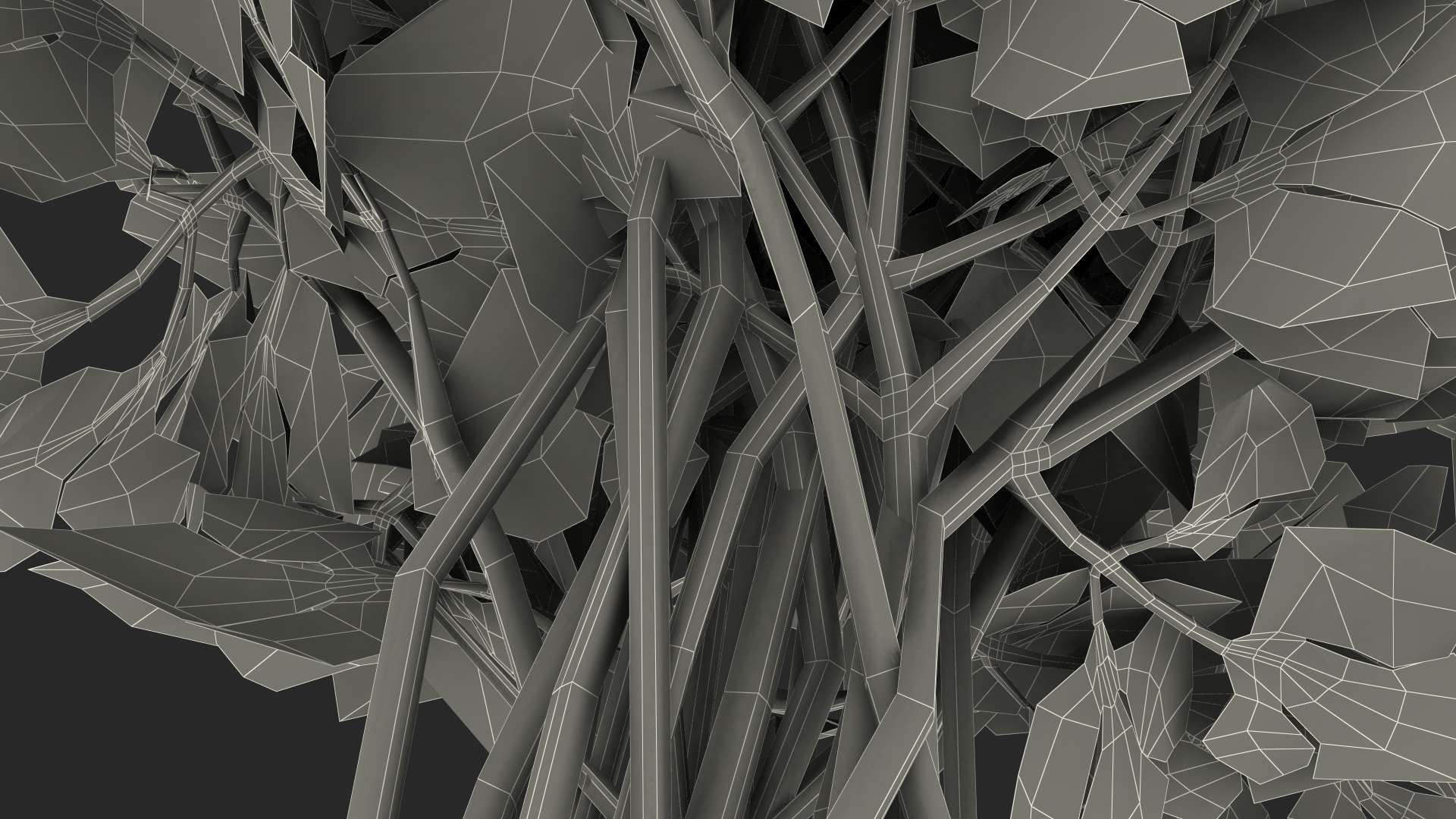 3D Parsley Bunch model