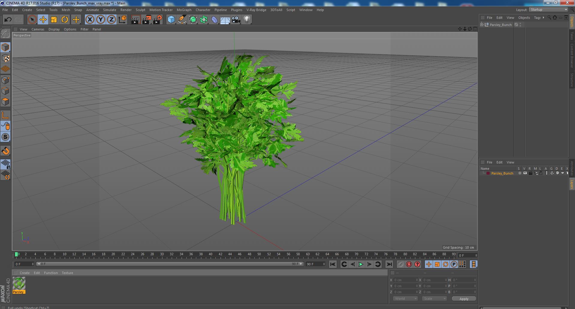3D Parsley Bunch model