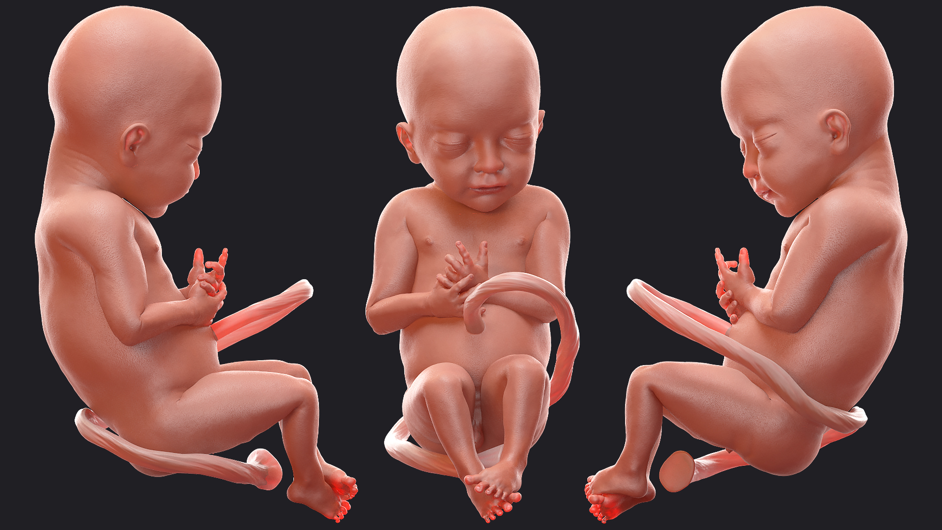 3D model Baby Boy at 28 Weeks