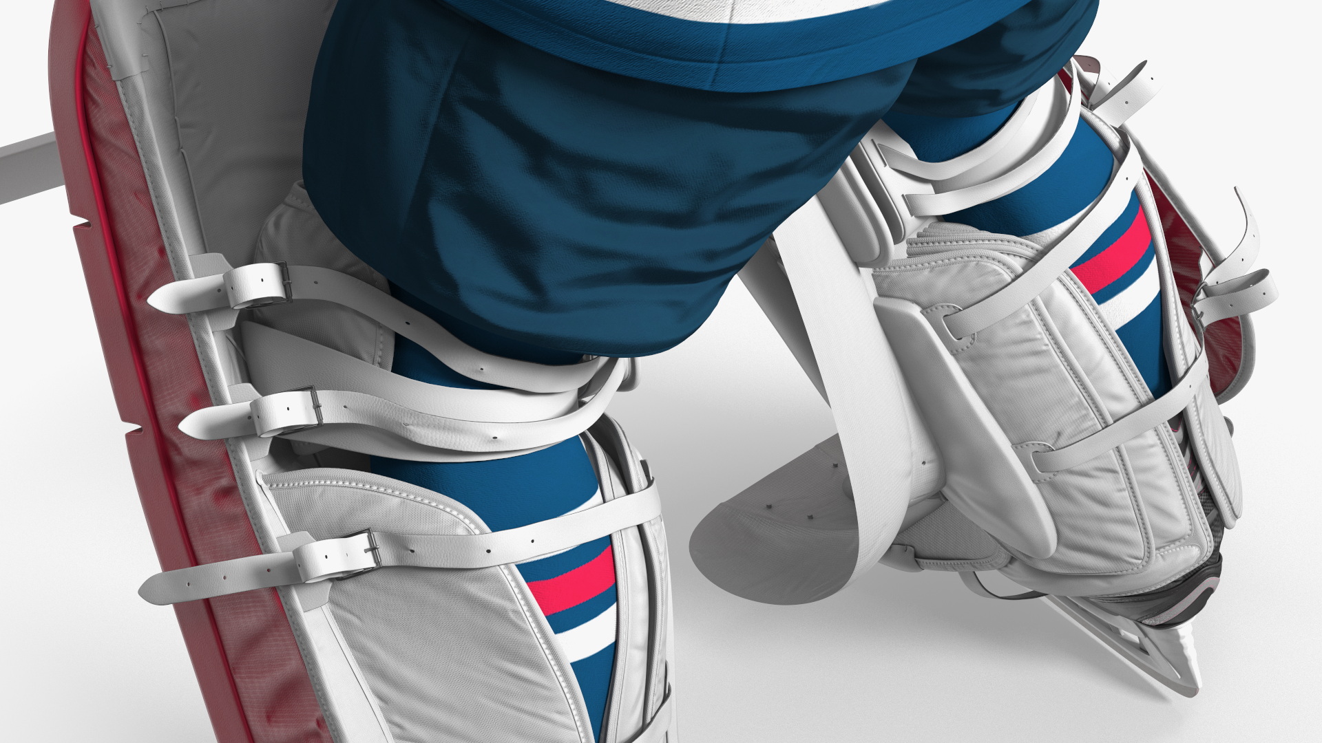 Goalie and Hockey Goal 3D