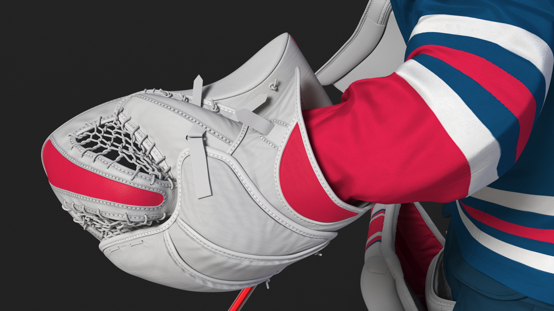 Goalie and Hockey Goal 3D