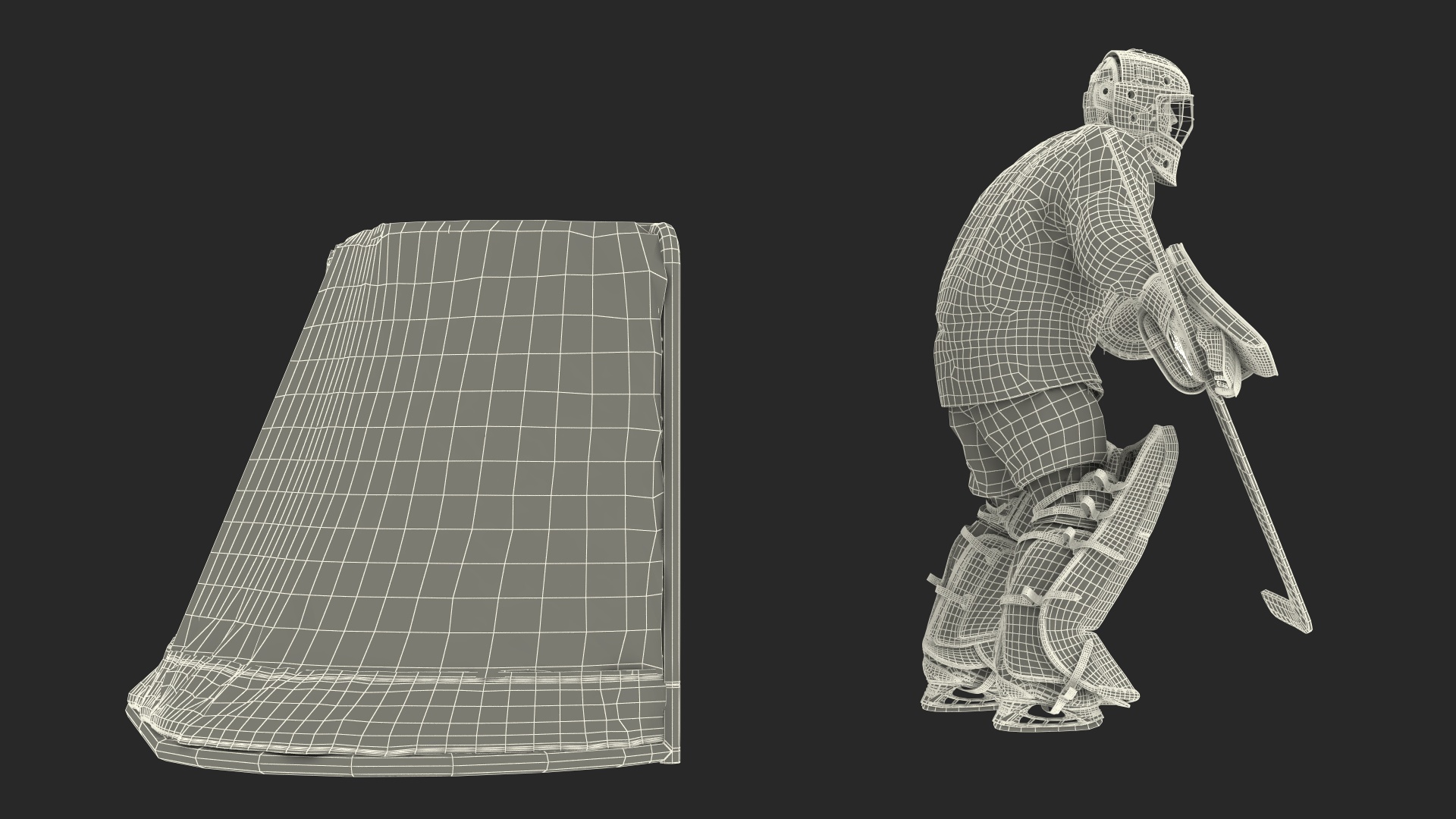 Goalie and Hockey Goal 3D