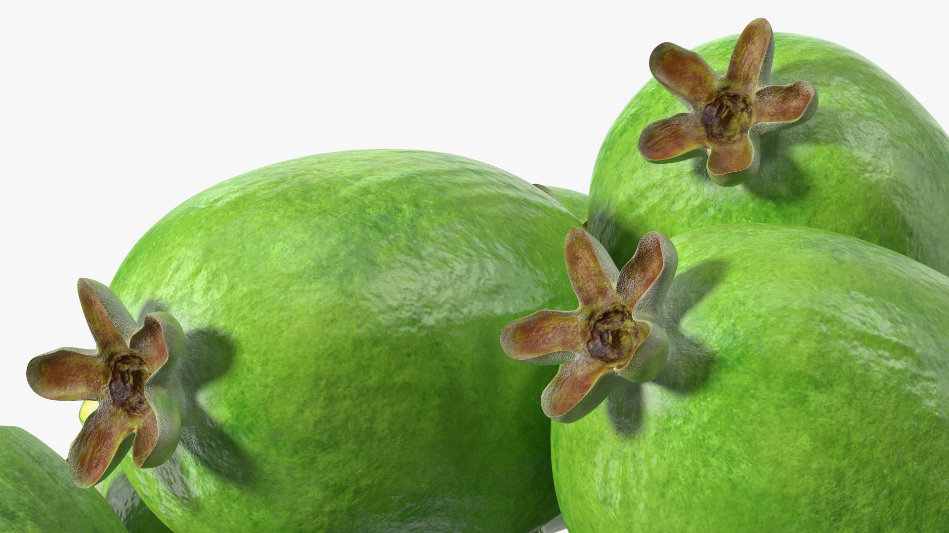 Heap Feijoa Fruit 3D