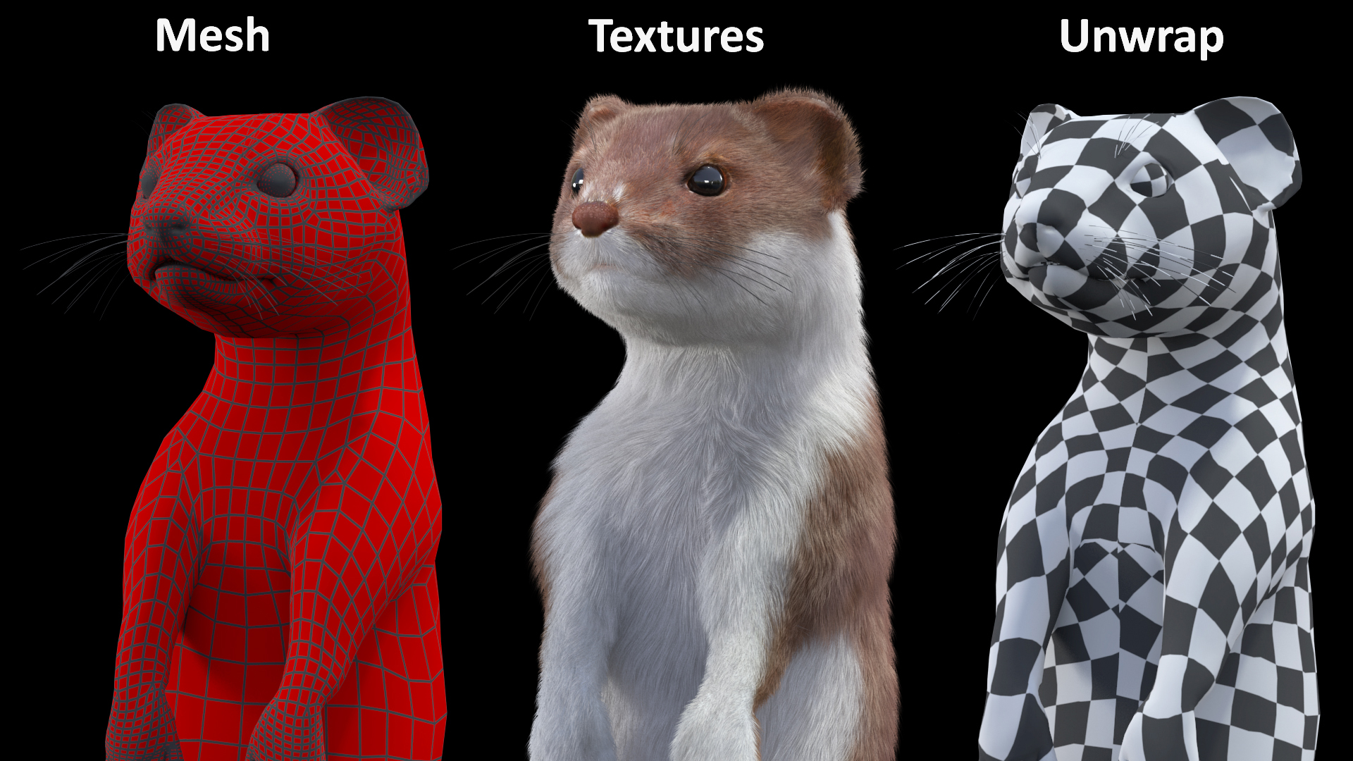 Beringian Stoat Brown Standing Pose Fur 3D model
