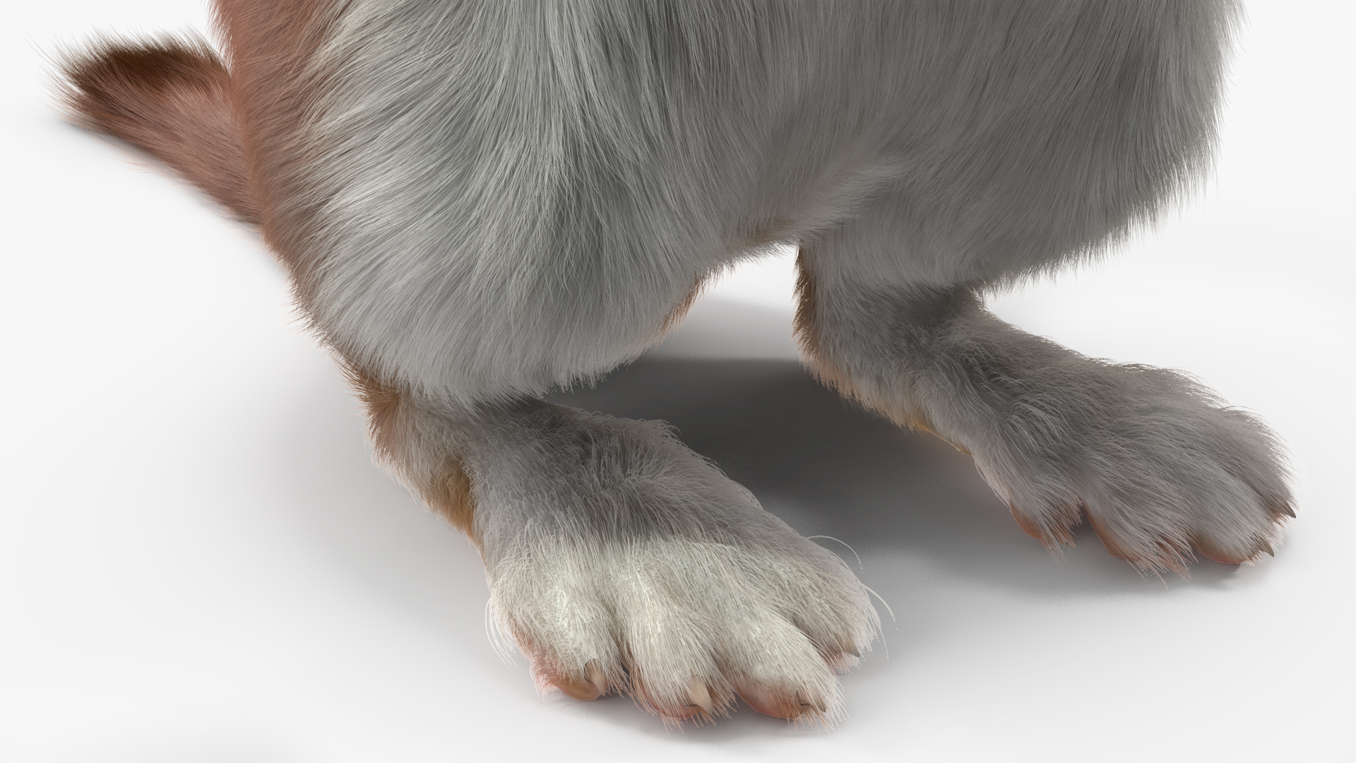 Beringian Stoat Brown Standing Pose Fur 3D model