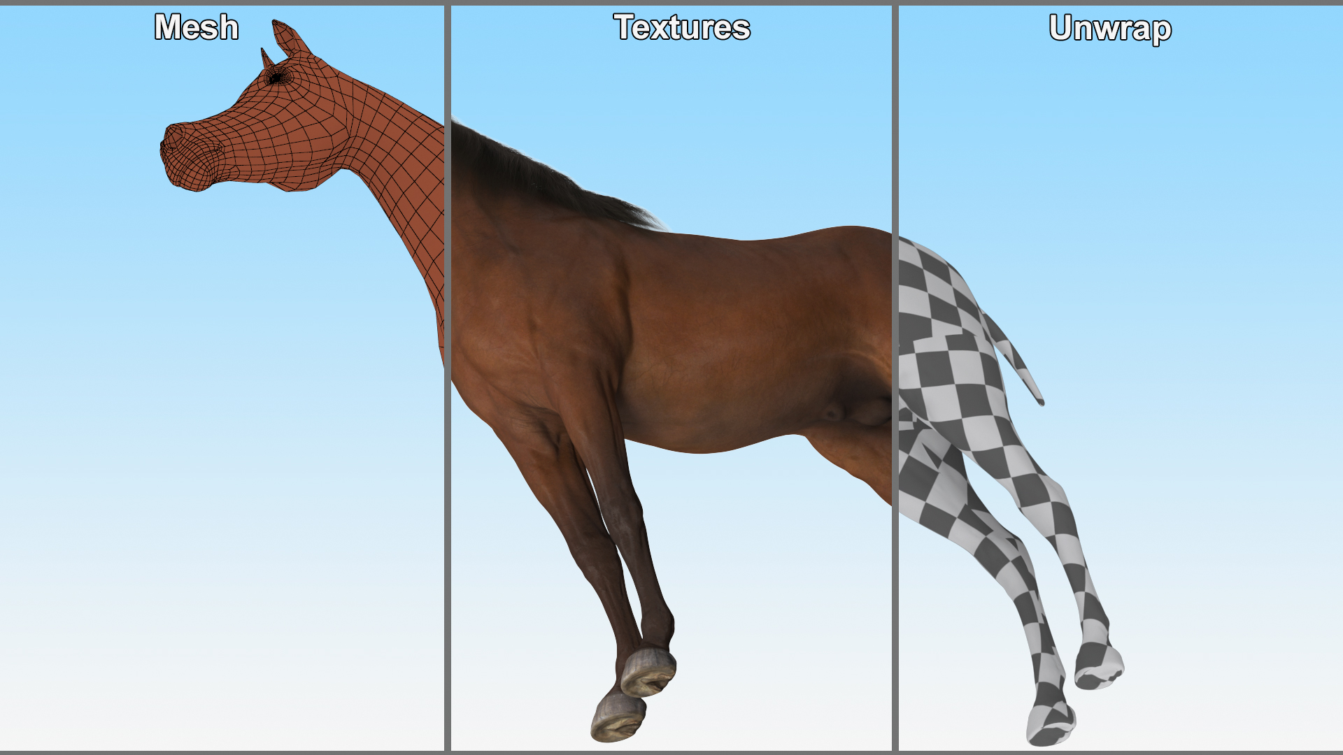 3D Arabian Horse Brown Fur model