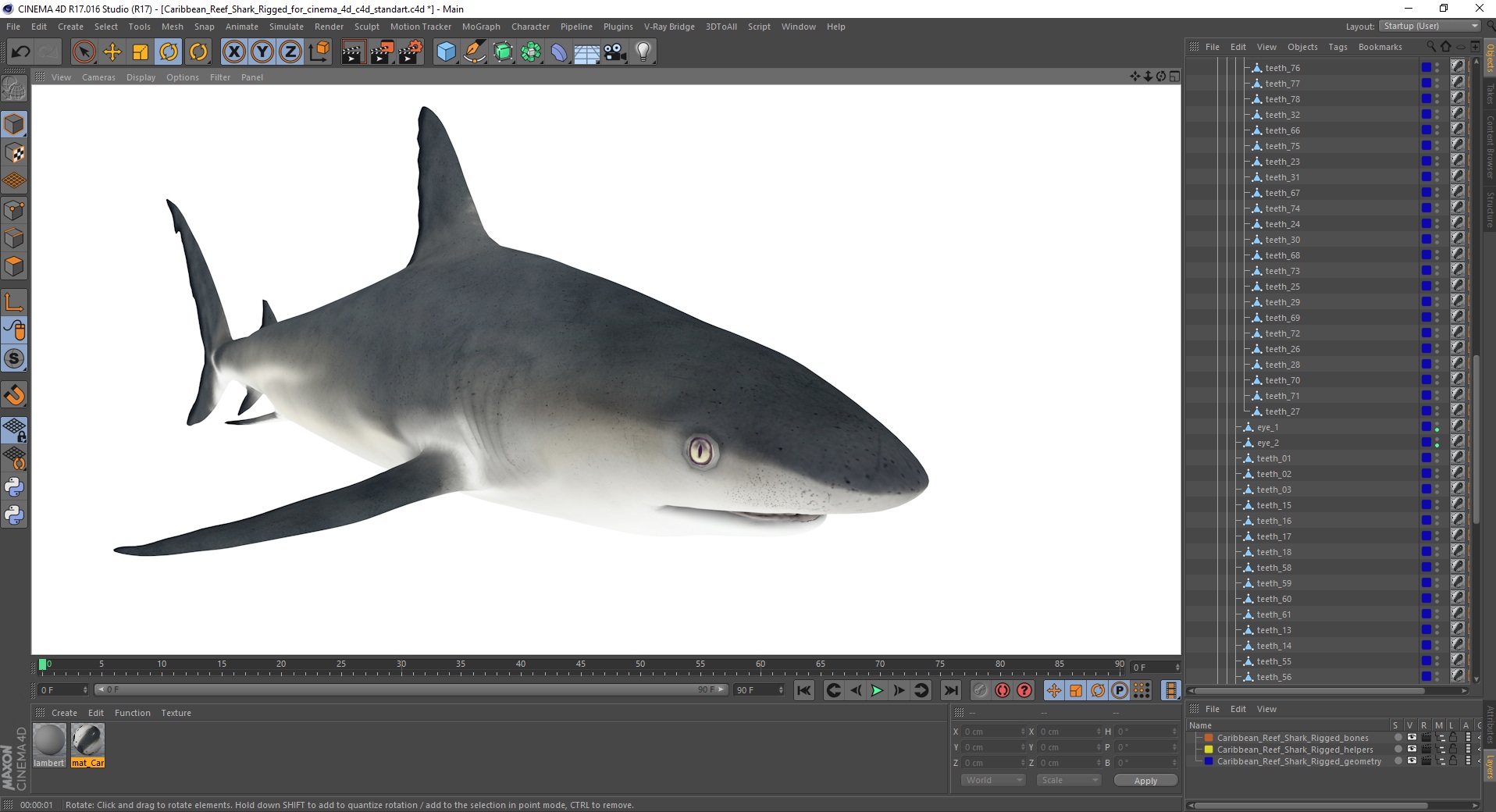 3D Caribbean Reef Shark Rigged for Cinema 4D