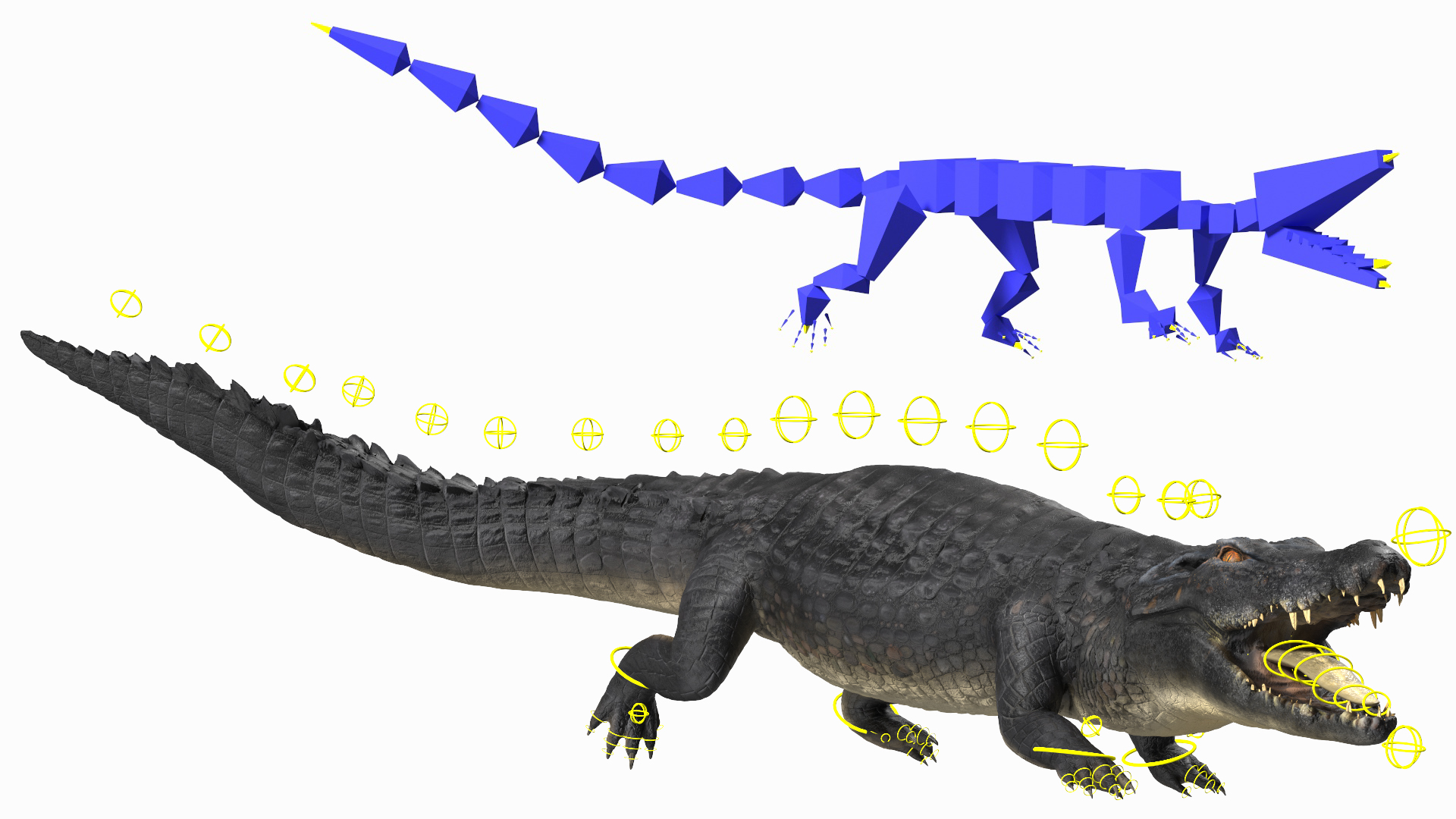 3D model Melanosuchus Niger Rigged