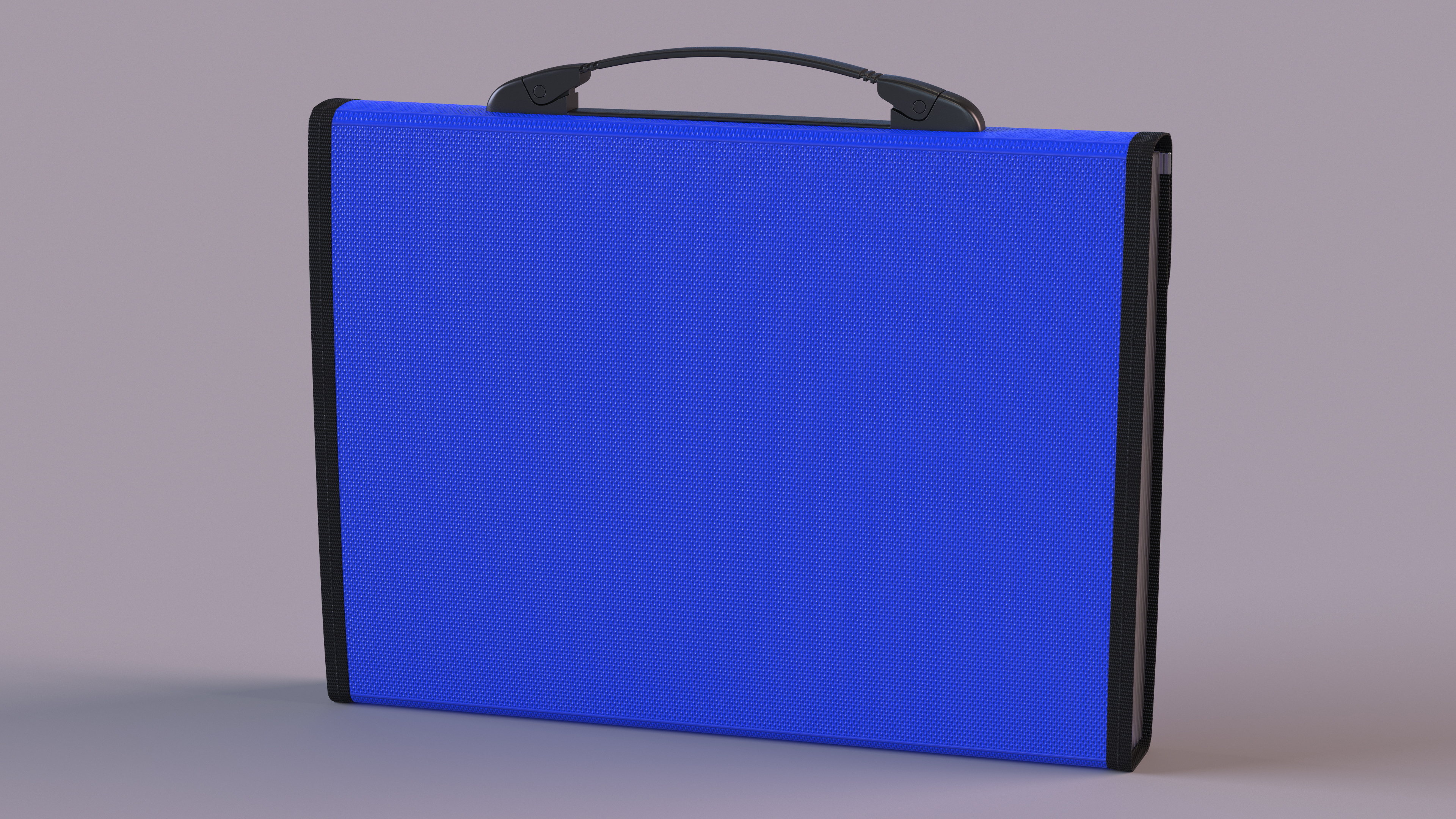 Plastic Expanding File Folder Blue 3D model