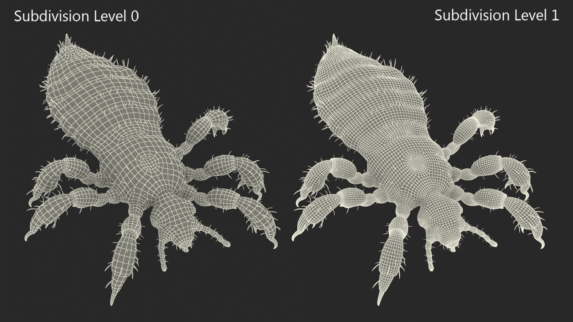 Louse White Hiding Pose SSS 3D