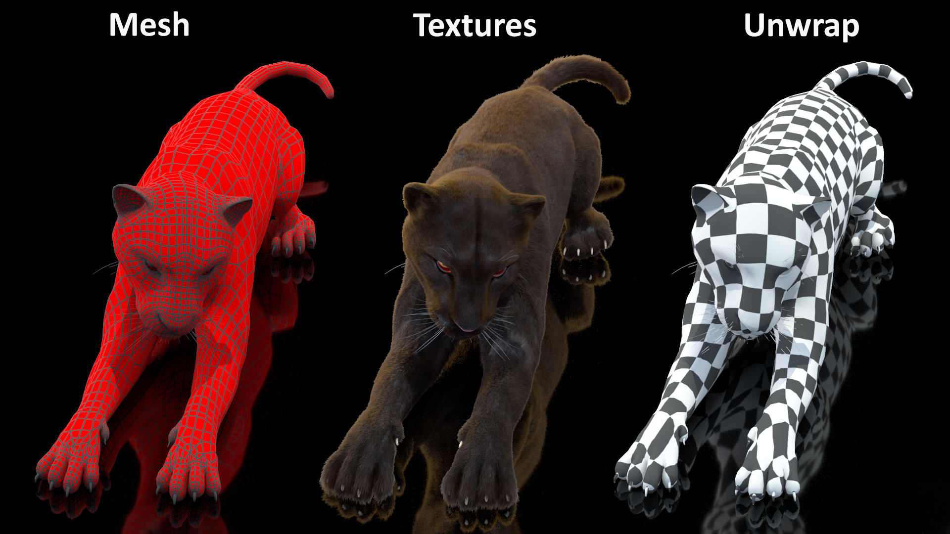 3D Black Panther Lying Down Fur model