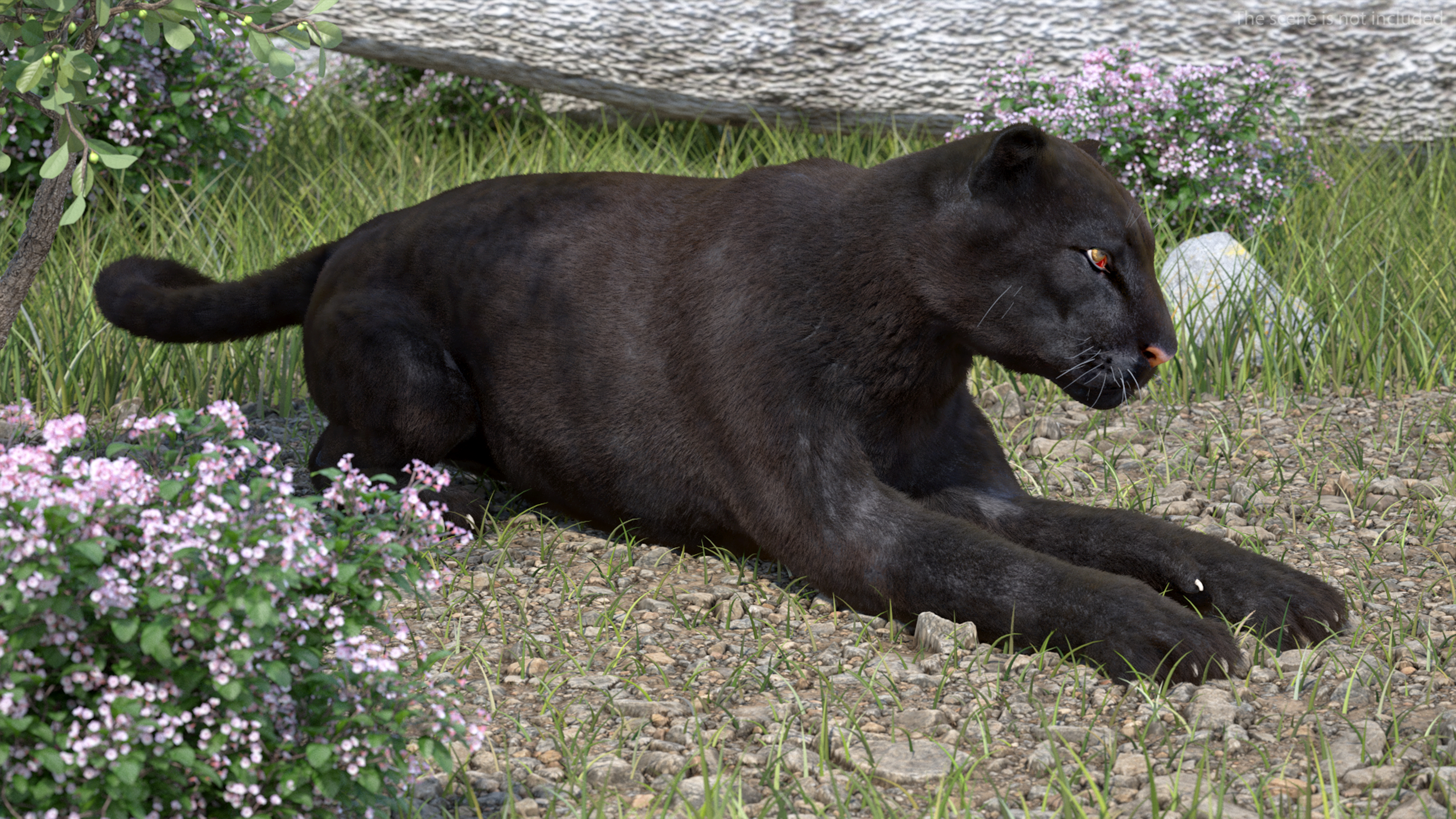 3D Black Panther Lying Down Fur model