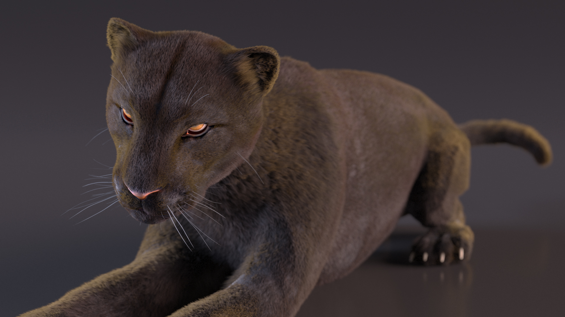 3D Black Panther Lying Down Fur model