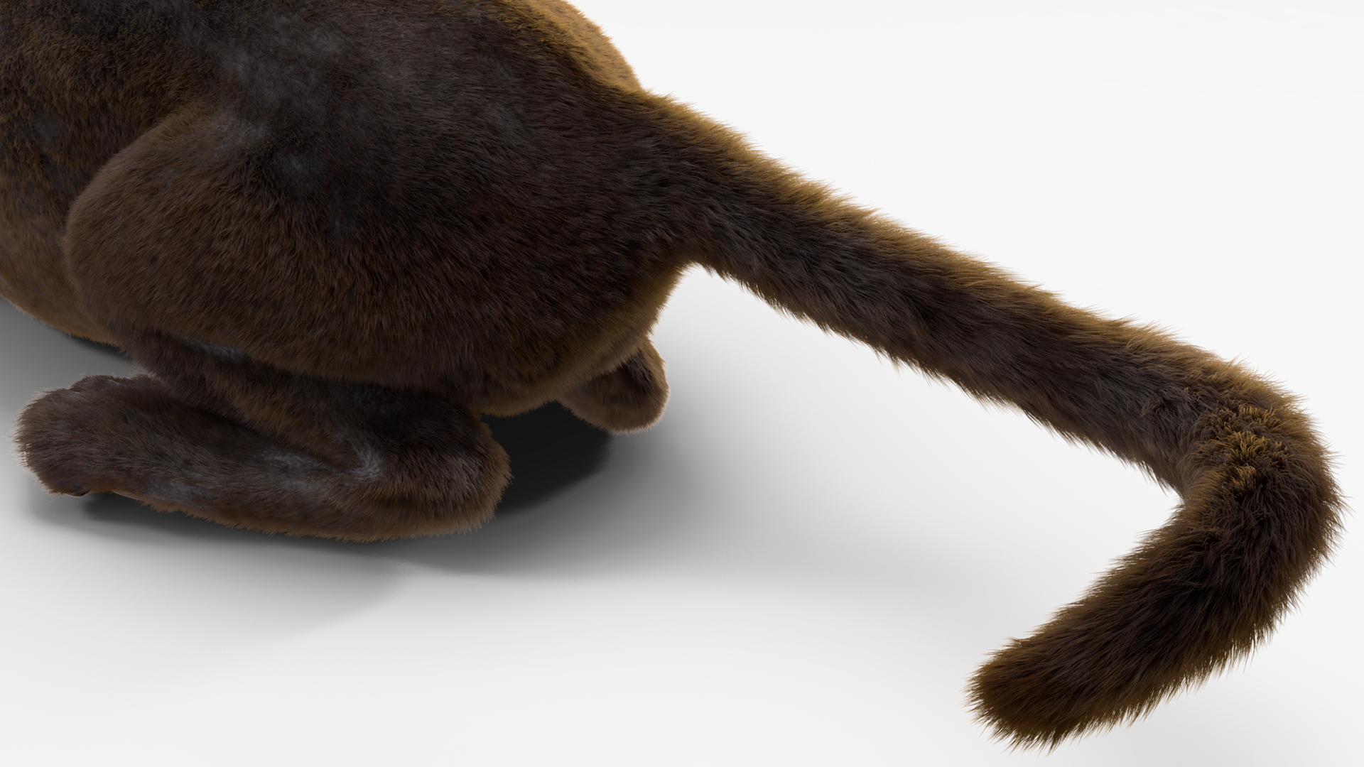3D Black Panther Lying Down Fur model