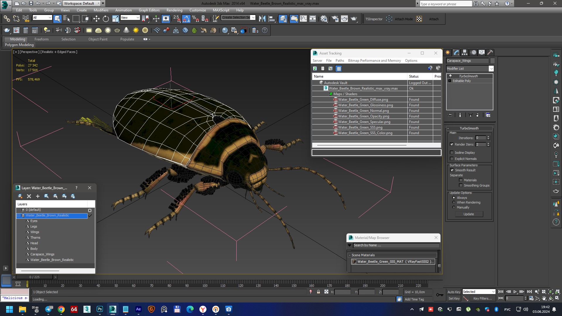 3D Water Beetle Brown Realistic model