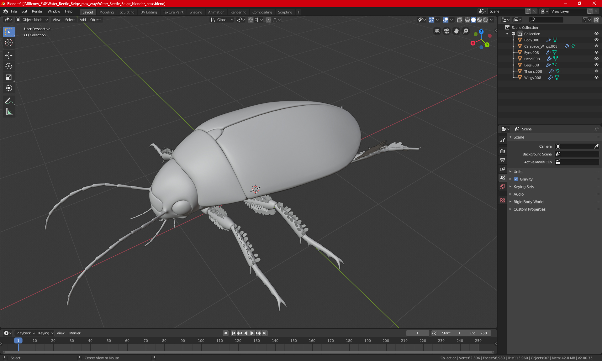 3D Water Beetle Brown Realistic model