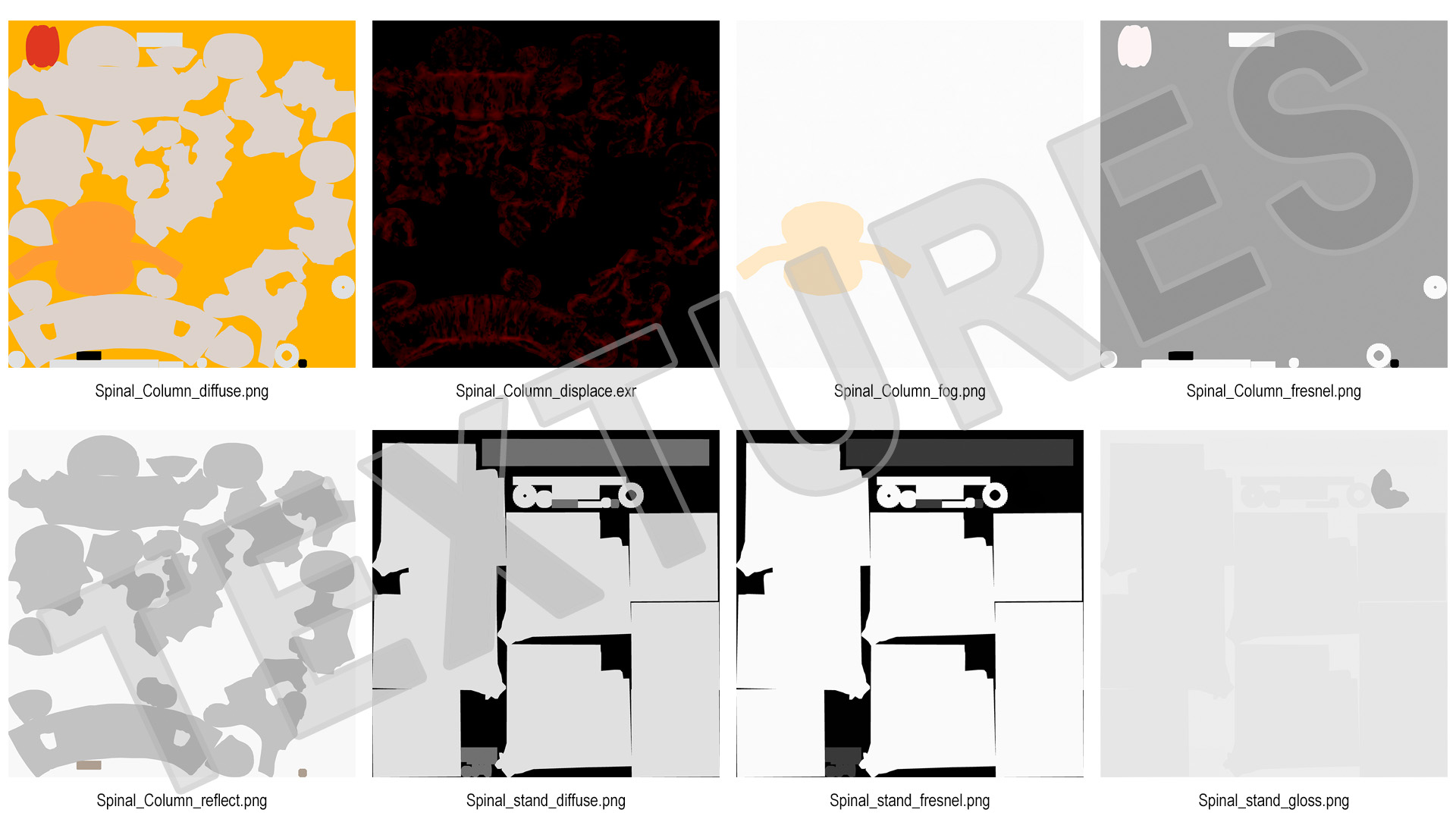 Stand with Herniated Spinal Vertebrae 3D