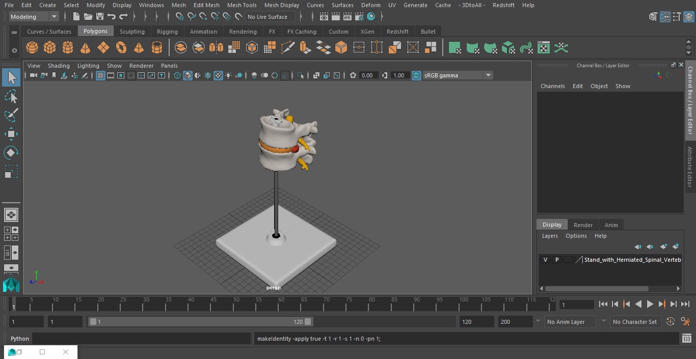 Stand with Herniated Spinal Vertebrae 3D