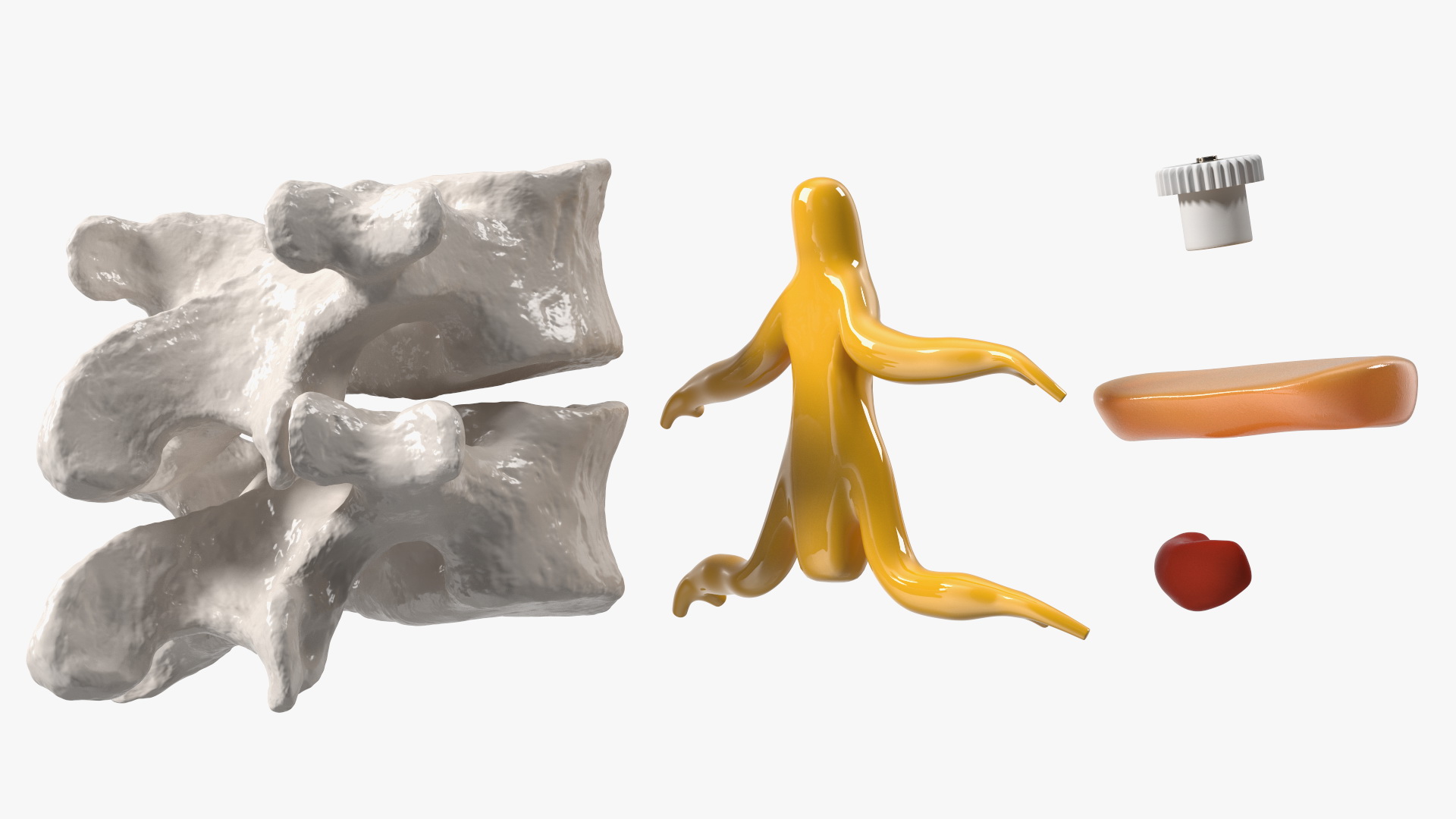 Stand with Herniated Spinal Vertebrae 3D