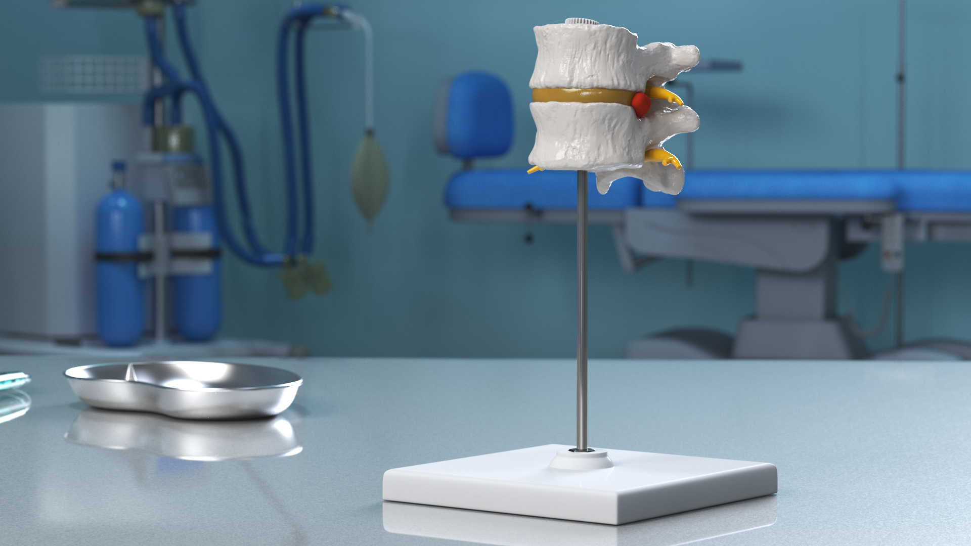 Stand with Herniated Spinal Vertebrae, view 10