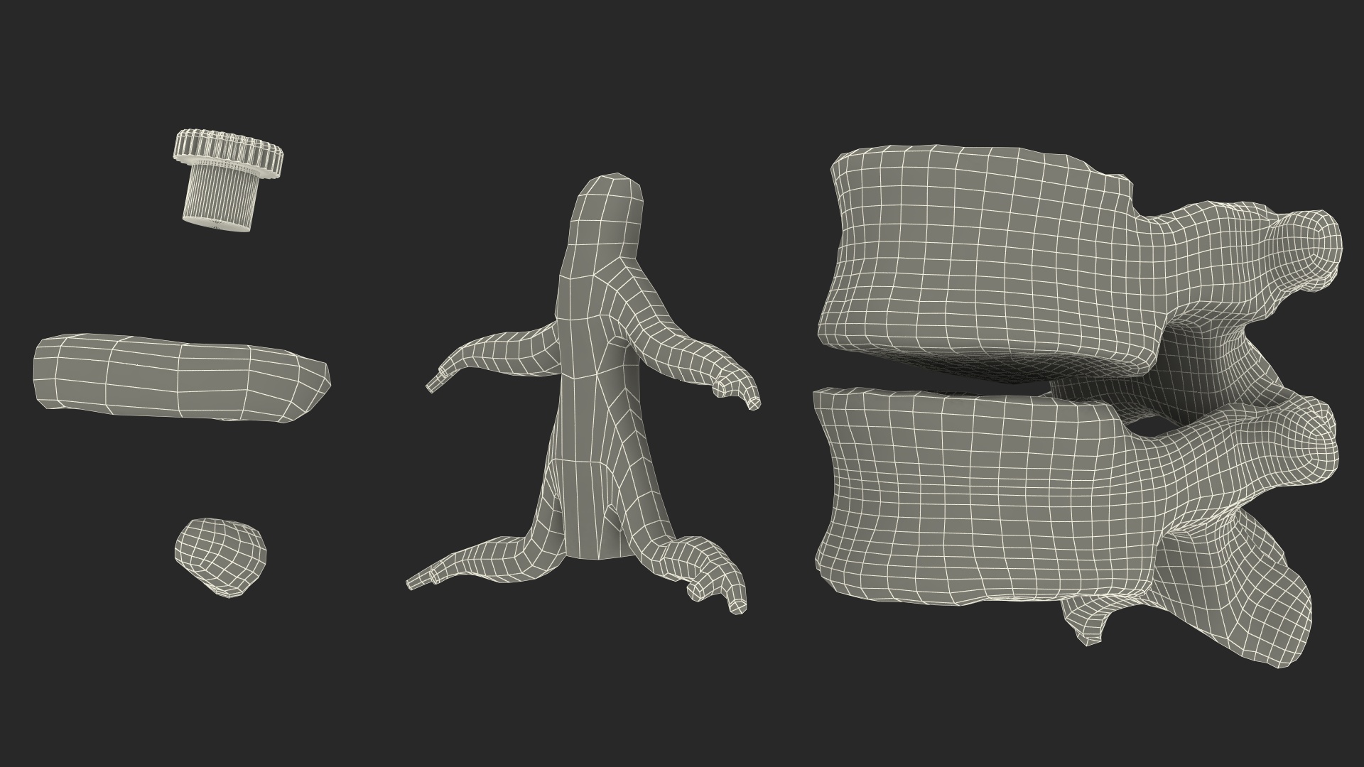 Stand with Herniated Spinal Vertebrae 3D