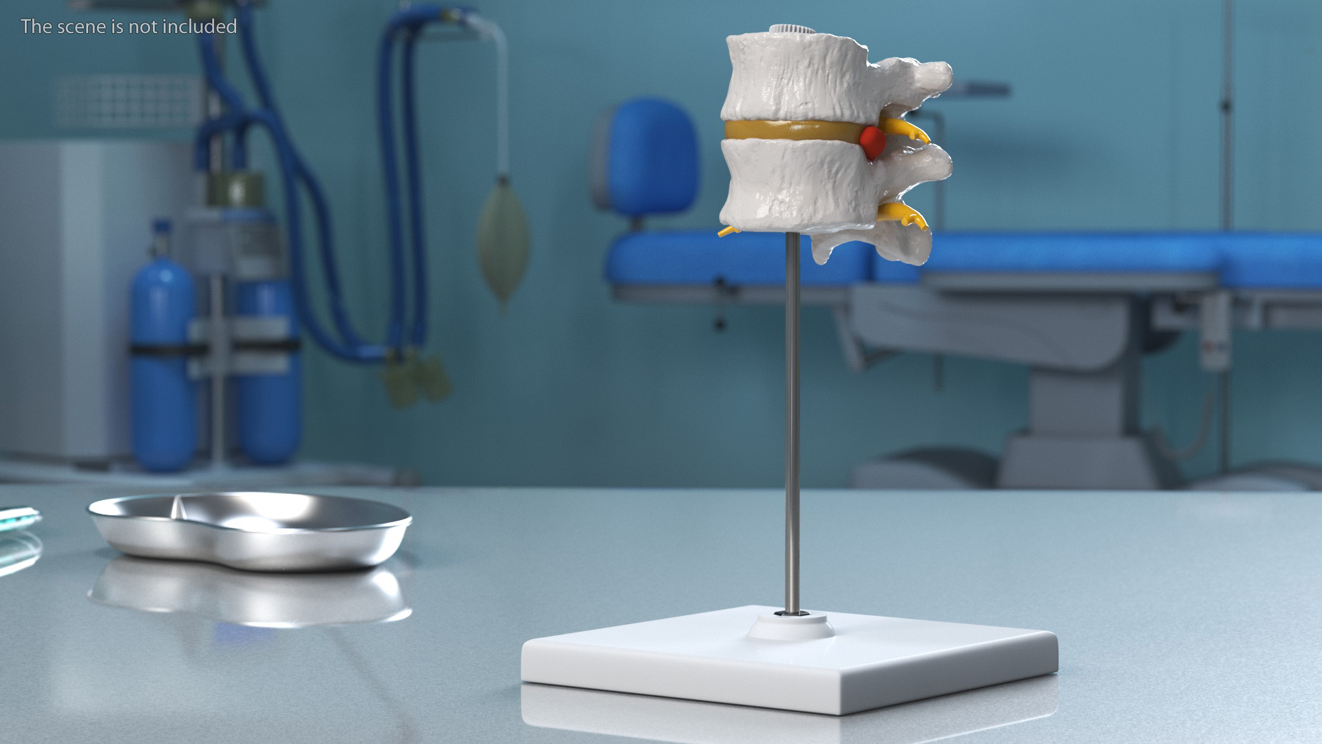 Stand with Herniated Spinal Vertebrae 3D