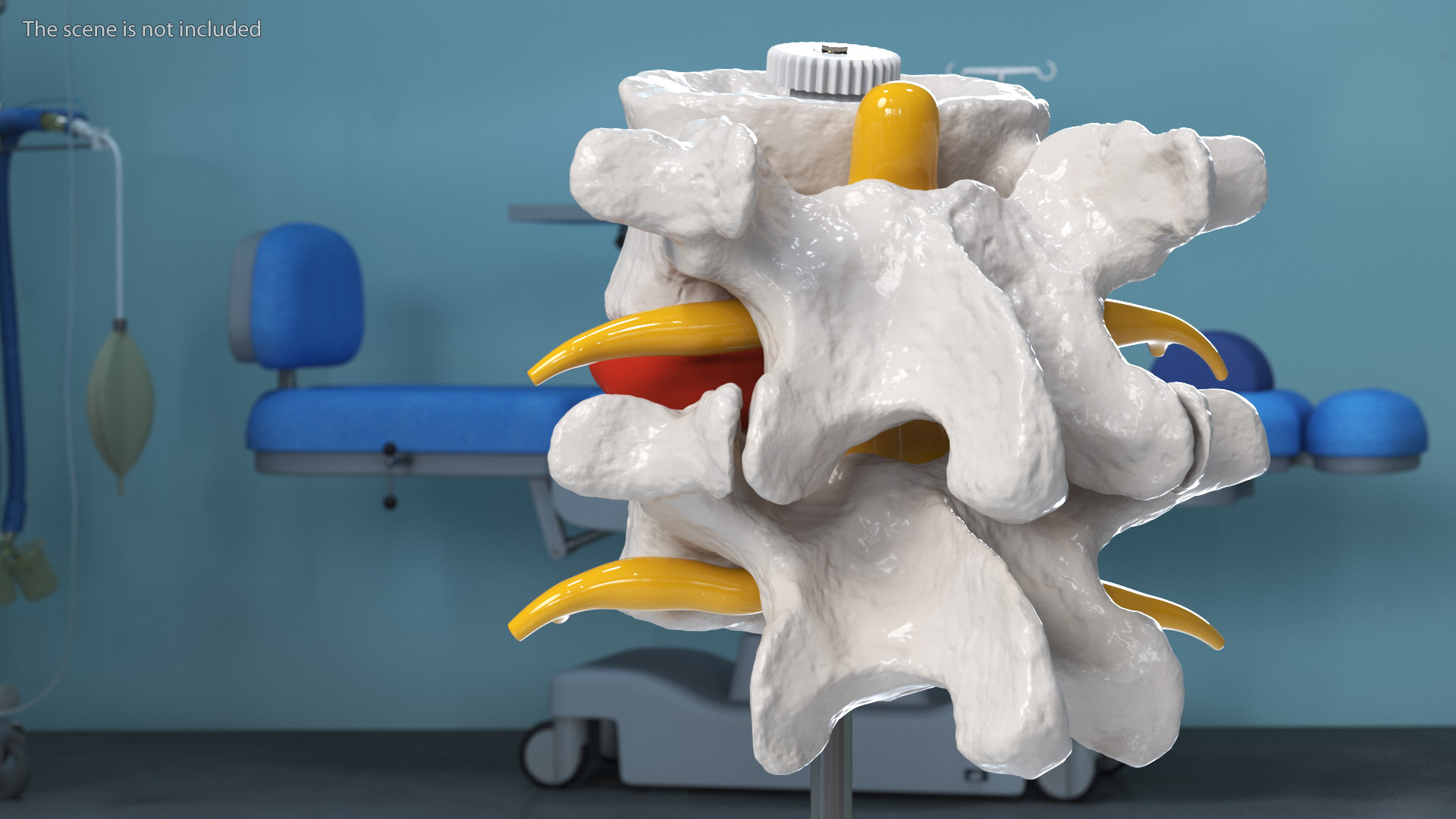 Stand with Herniated Spinal Vertebrae 3D