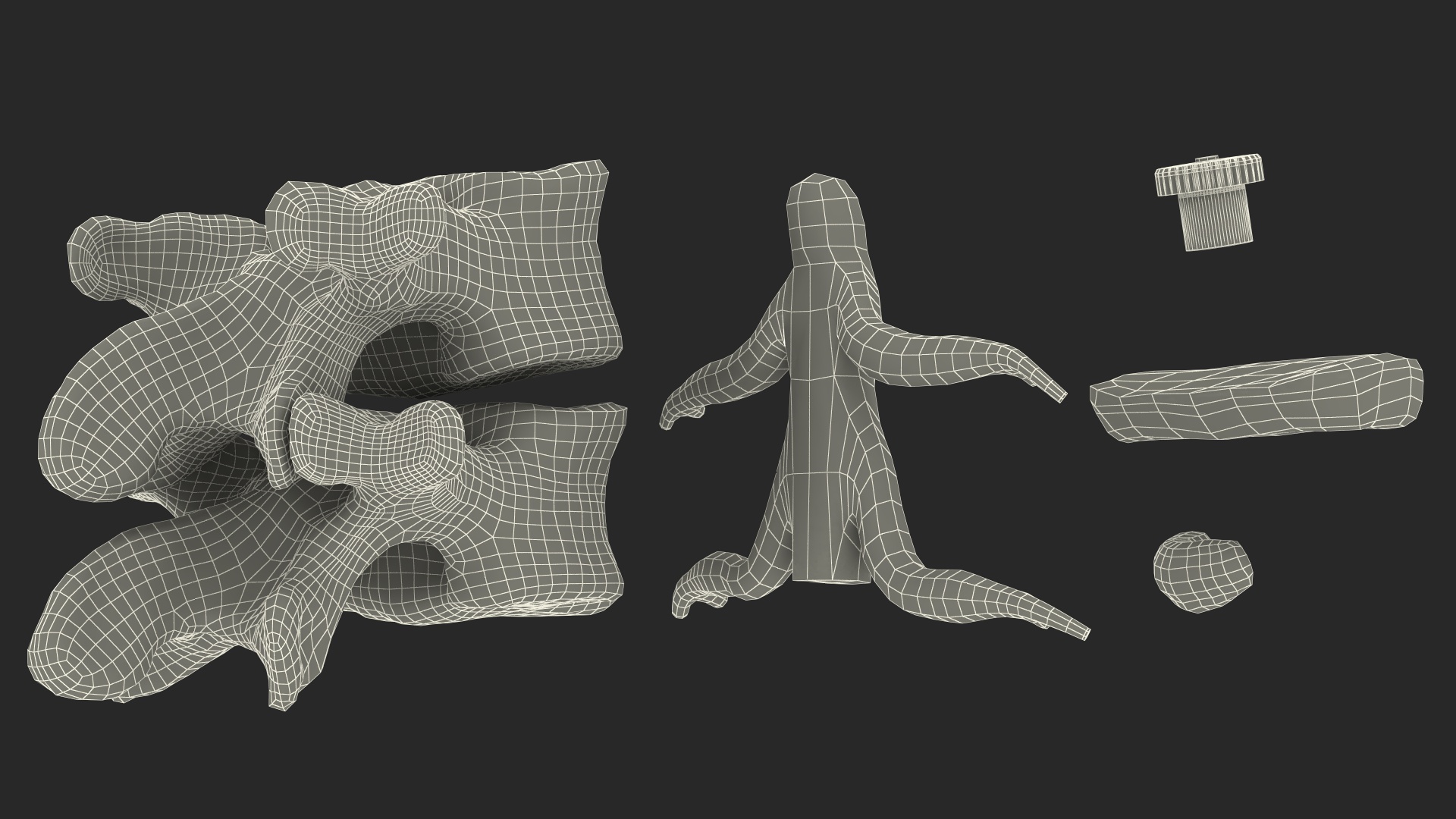 Stand with Herniated Spinal Vertebrae 3D