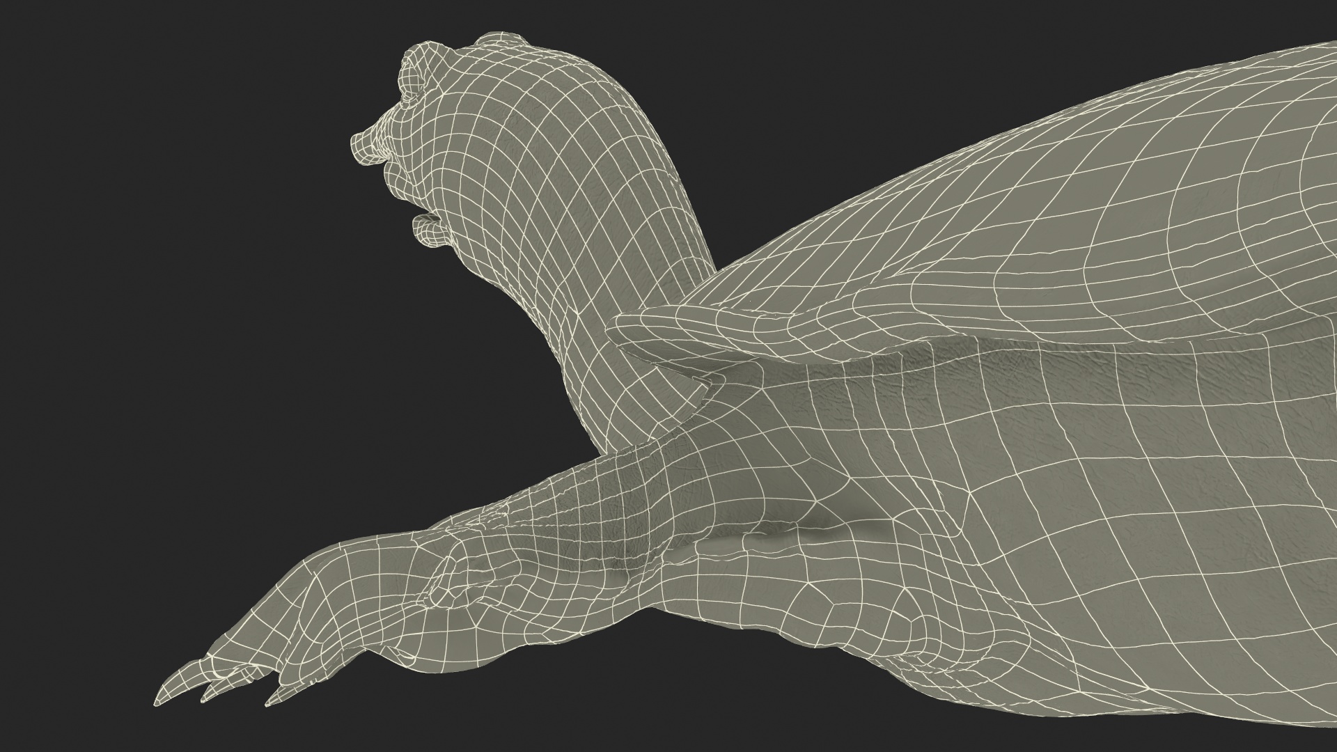 3D Realistic Chinese Softshell Turtle Rigged