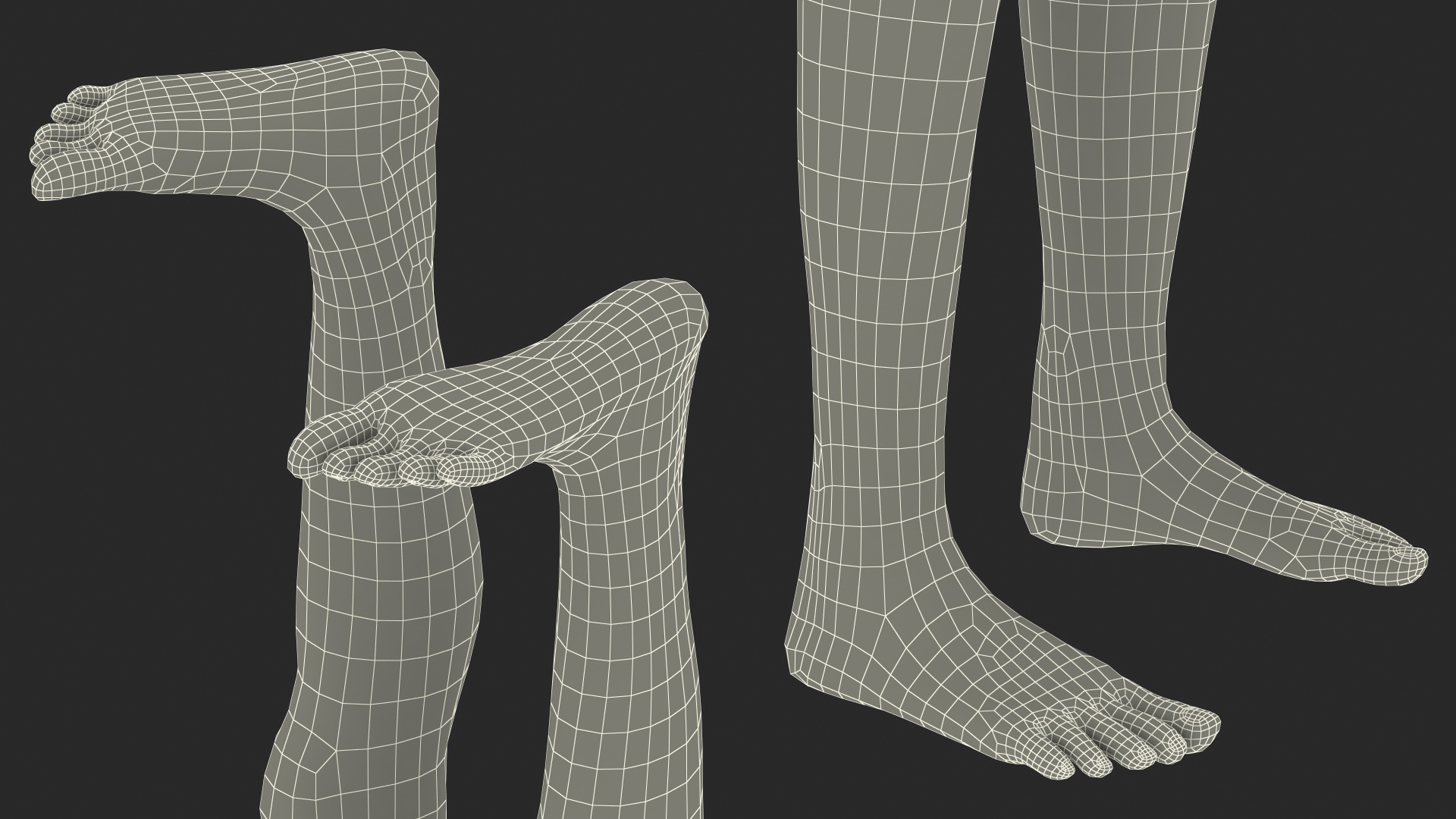 Complete Full Body Kid Girl Anatomy Fur 3D model