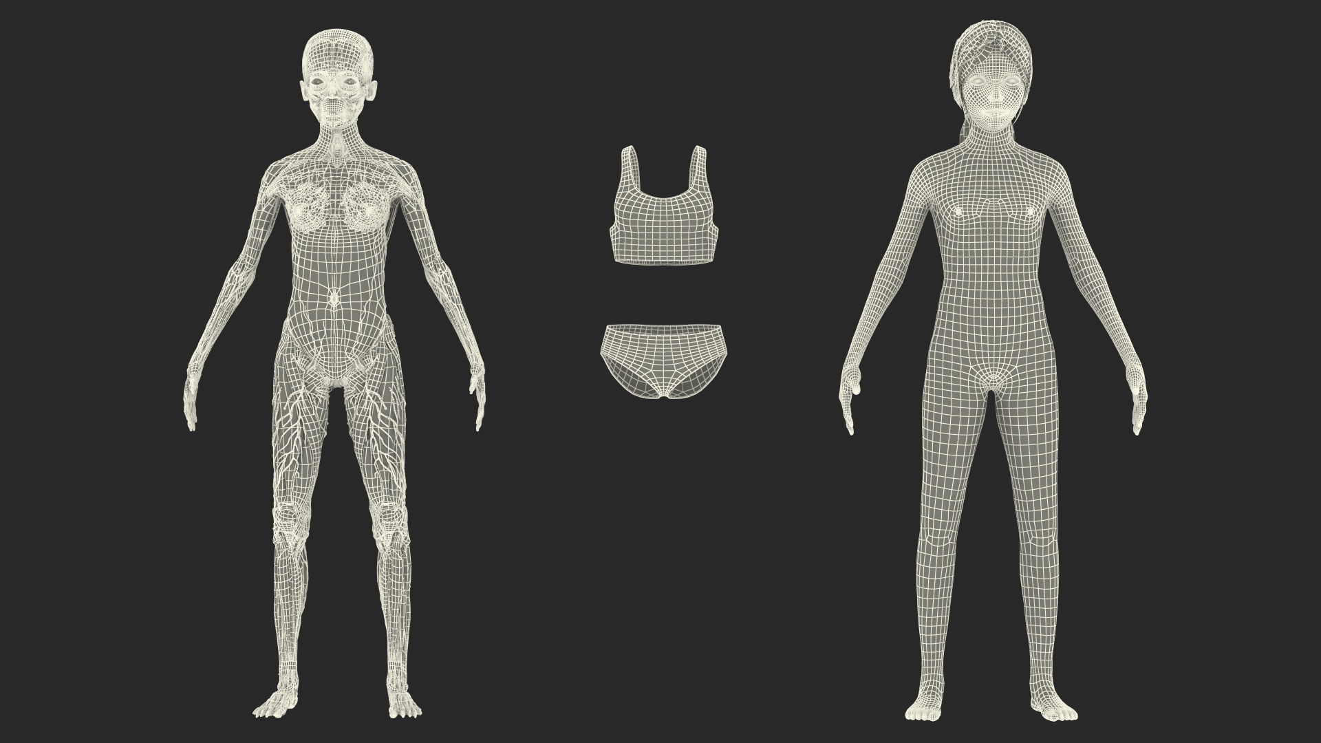 Complete Full Body Kid Girl Anatomy Fur 3D model