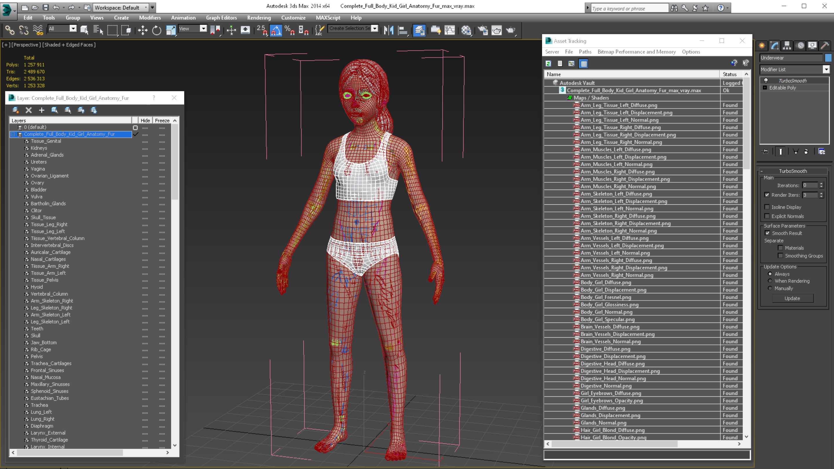 Complete Full Body Kid Girl Anatomy Fur 3D model