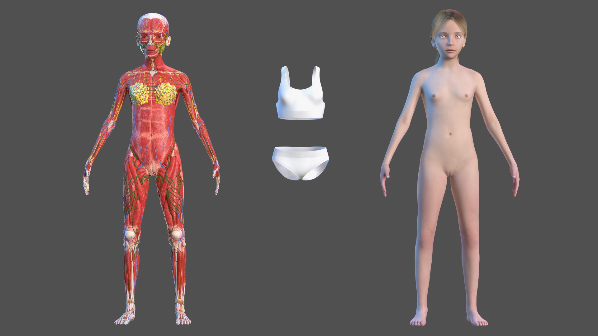 Complete Full Body Kid Girl Anatomy Fur 3D model