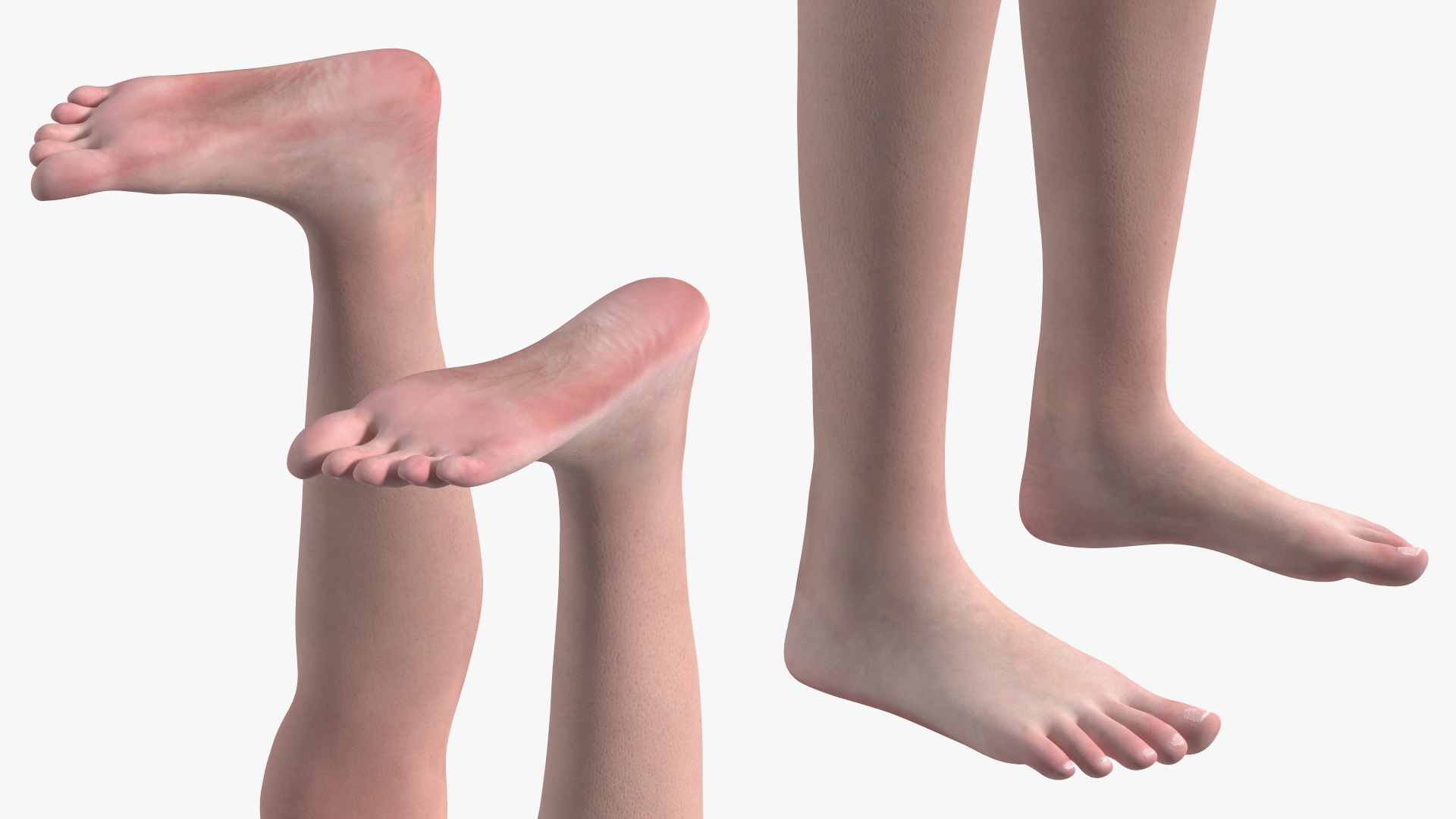 Complete Full Body Kid Girl Anatomy Fur 3D model