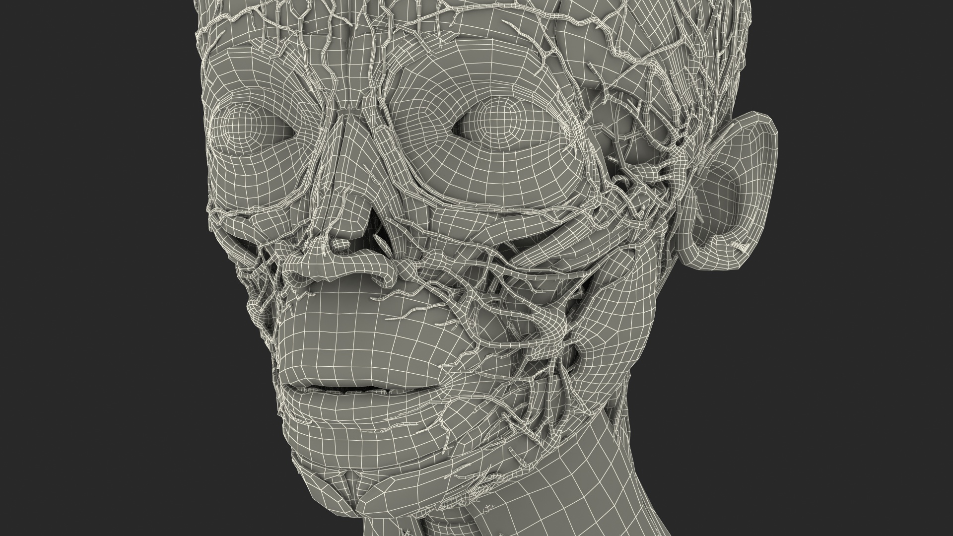 Complete Full Body Kid Girl Anatomy Fur 3D model
