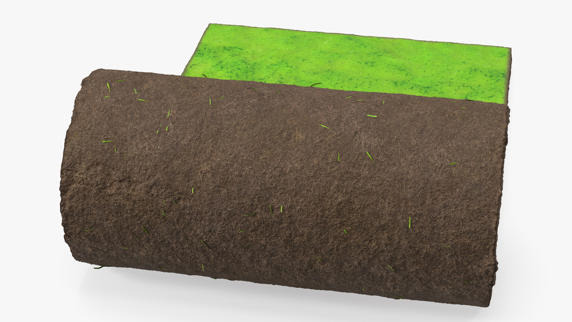 Lawn Turf Roll 3D model