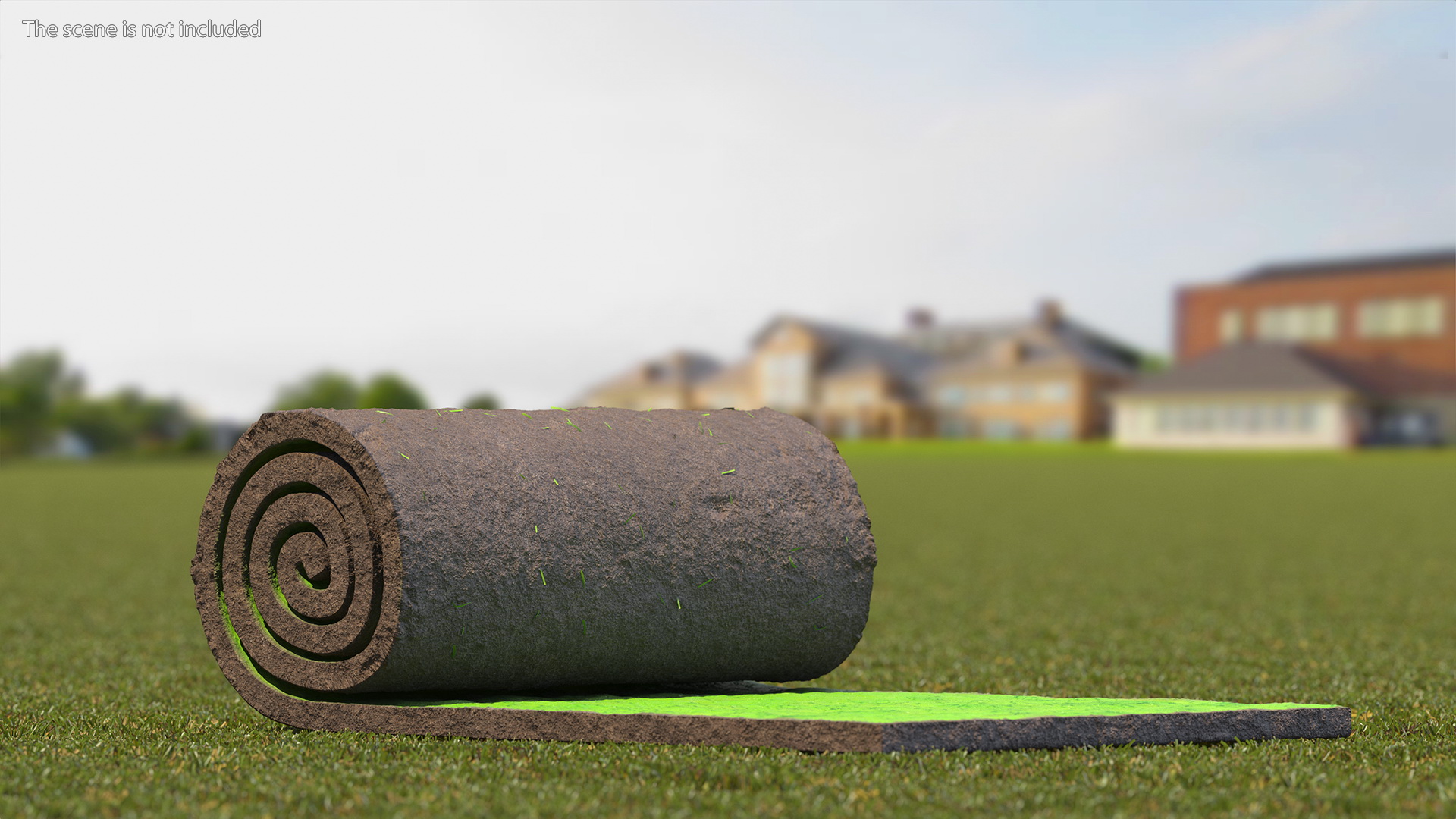 Lawn Turf Roll 3D model