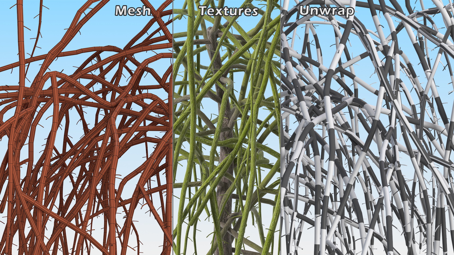 3D Nude Weeping Mulberry