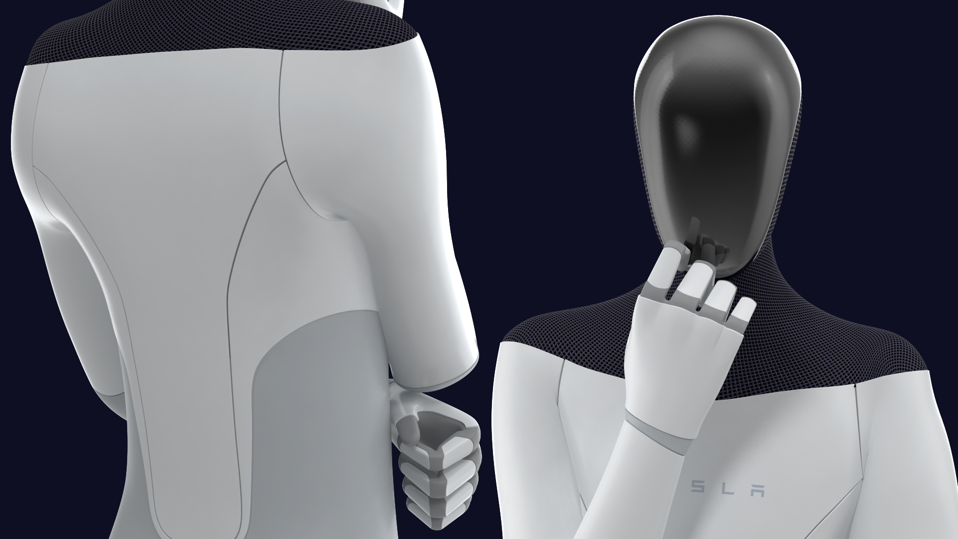 3D Tesla Bot Standing Pose model
