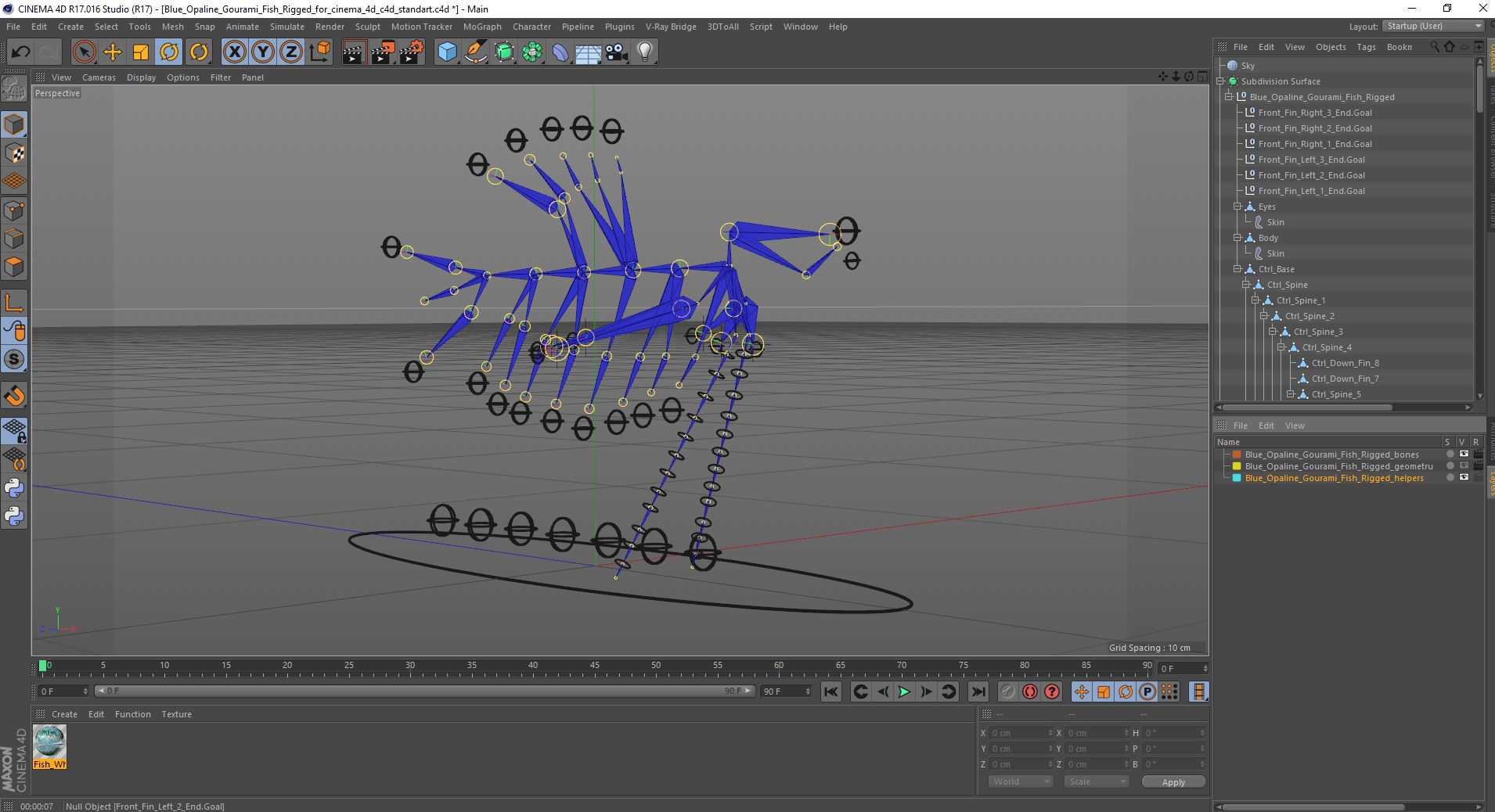 3D Blue Opaline Gourami Fish Rigged for Cinema 4D