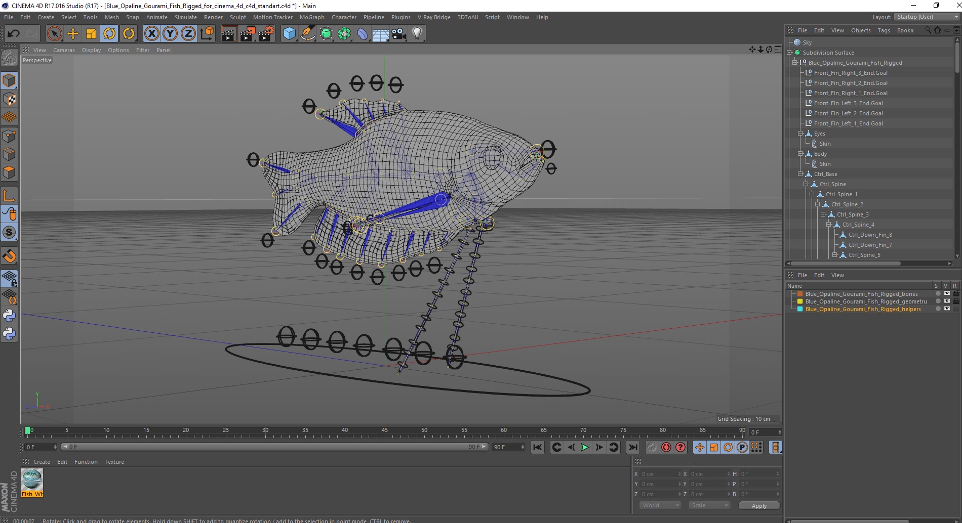 3D Blue Opaline Gourami Fish Rigged for Cinema 4D