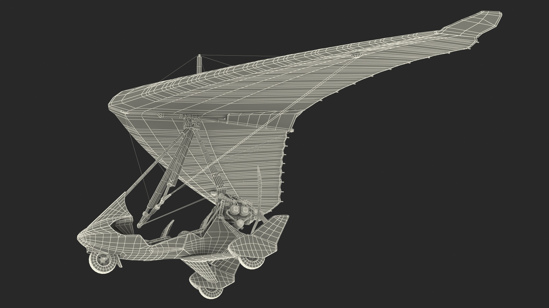 3D Tandem Ultralight Trike Generic
