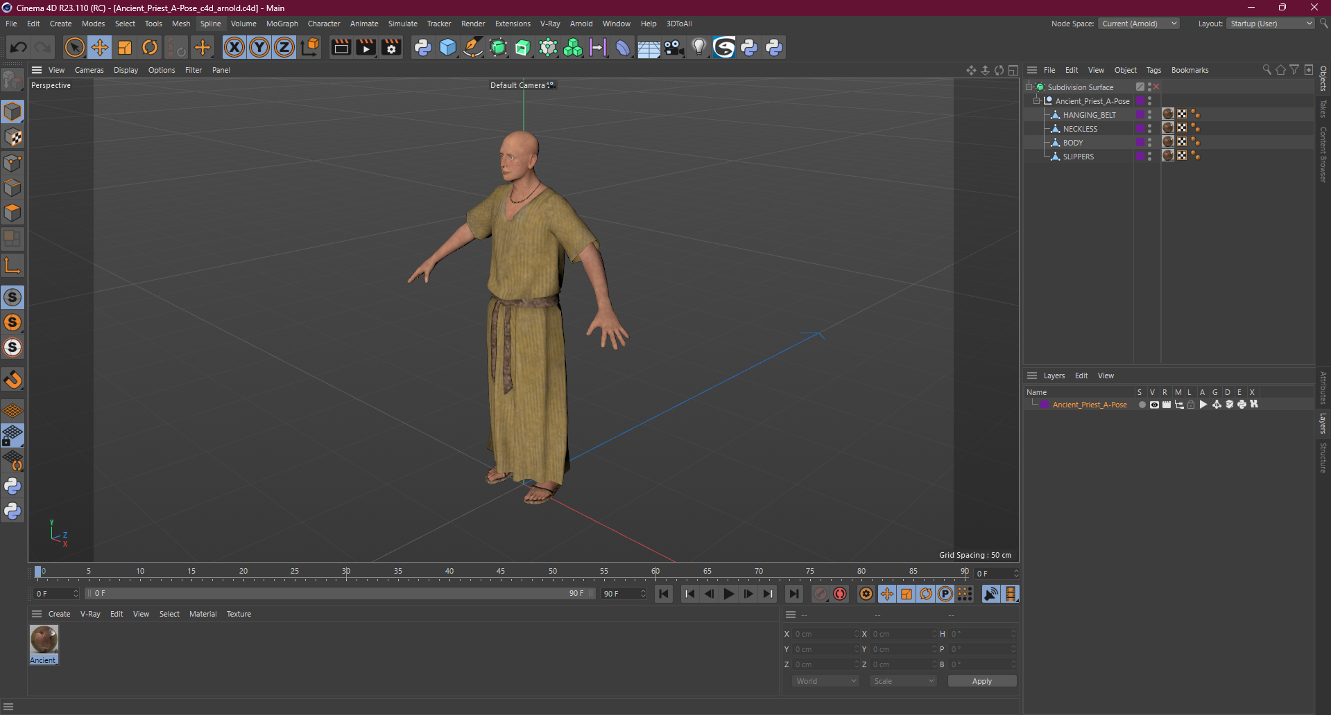 3D Ancient Priest A-Pose