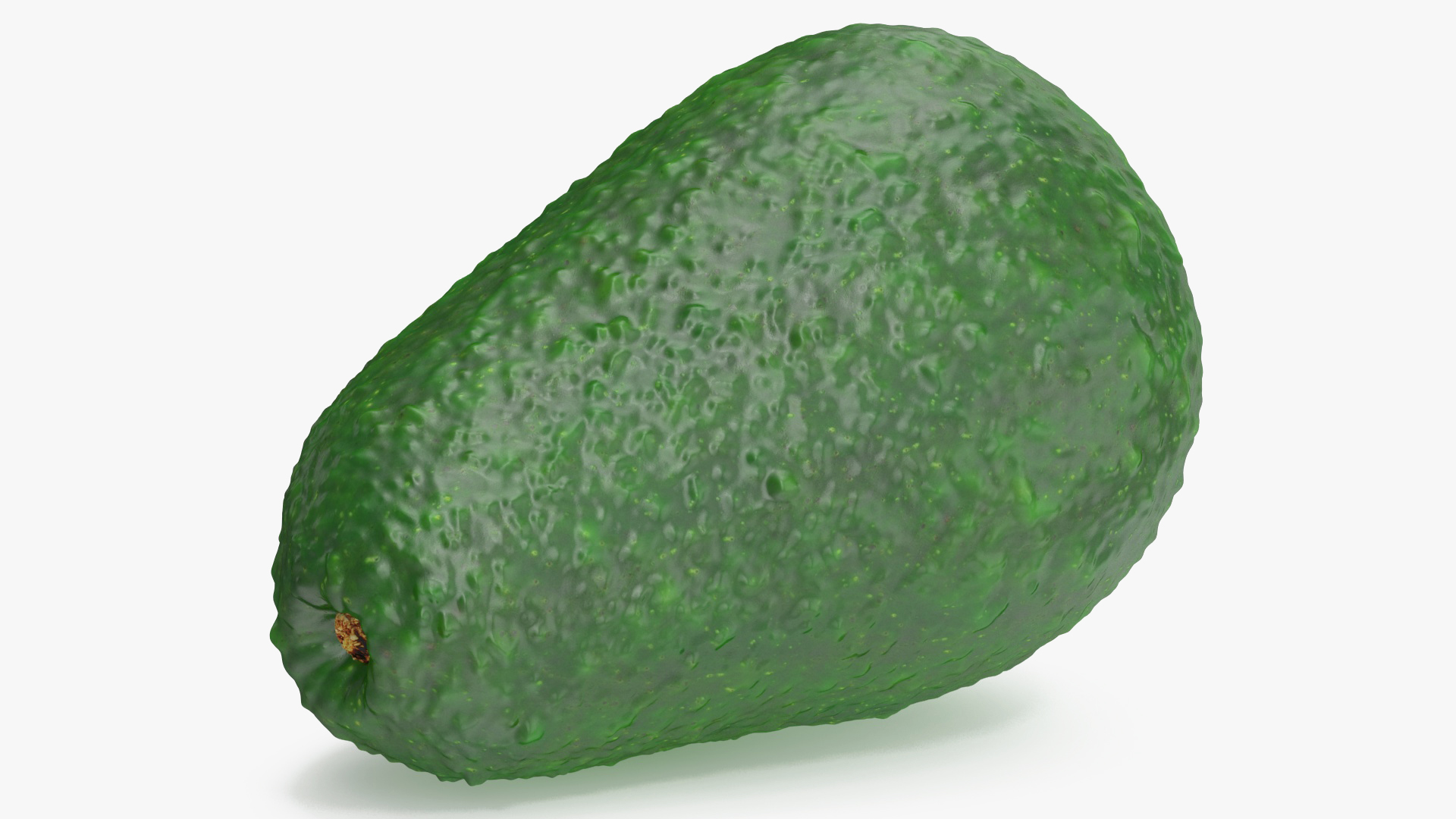 Avocado Fuerte 3D model