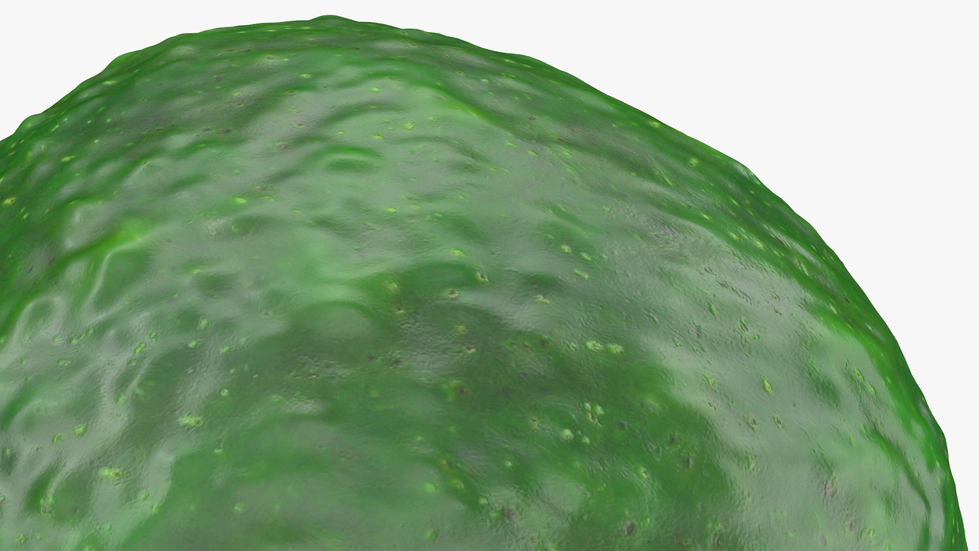 Avocado Fuerte 3D model