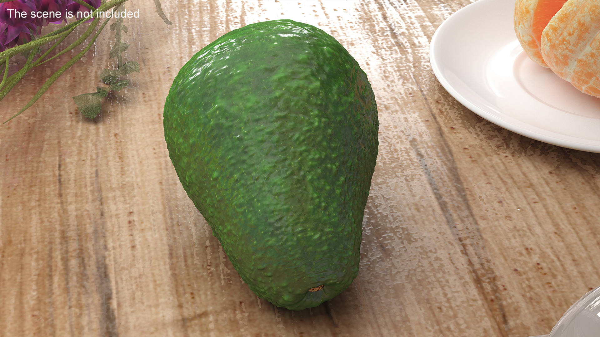 Avocado Fuerte 3D model